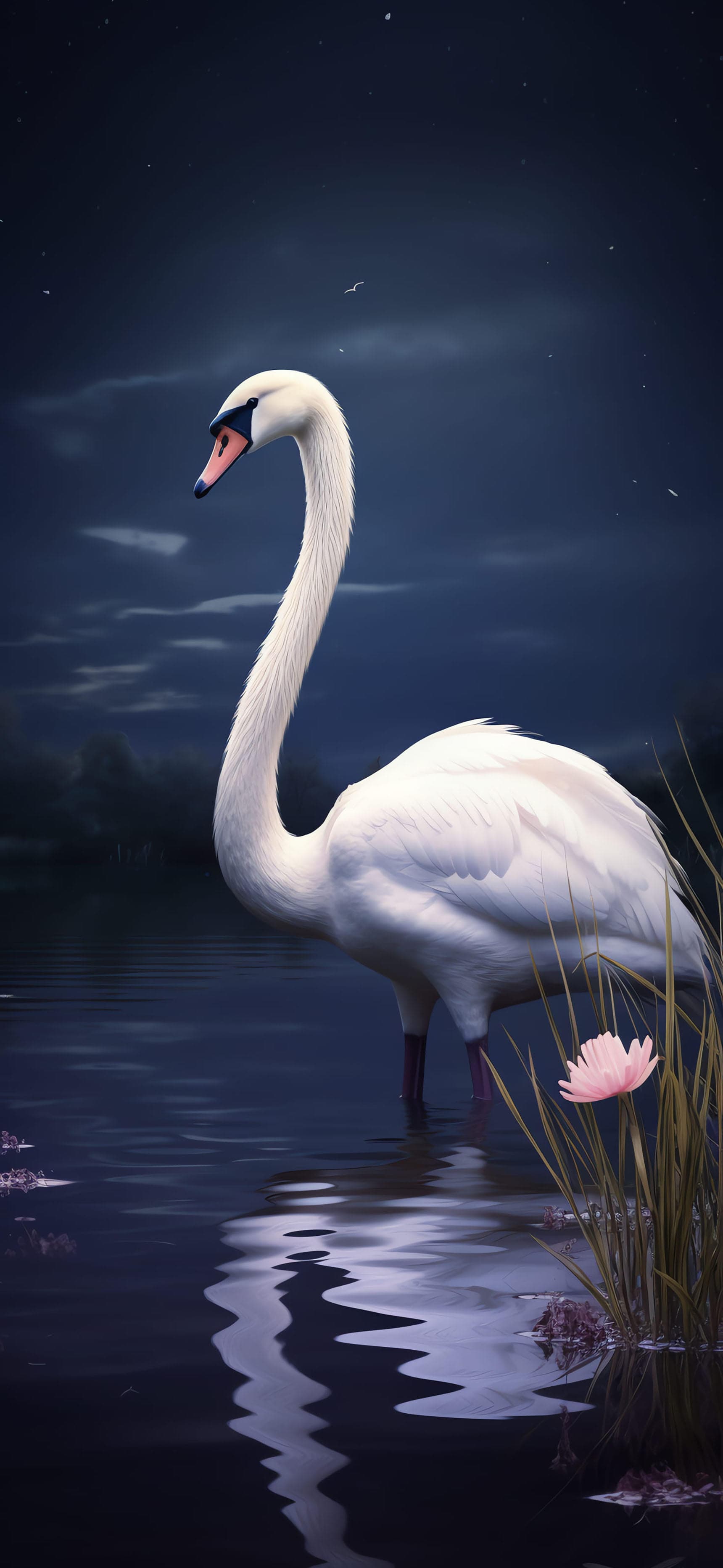 Serene Swan Night - free phone wallpaper