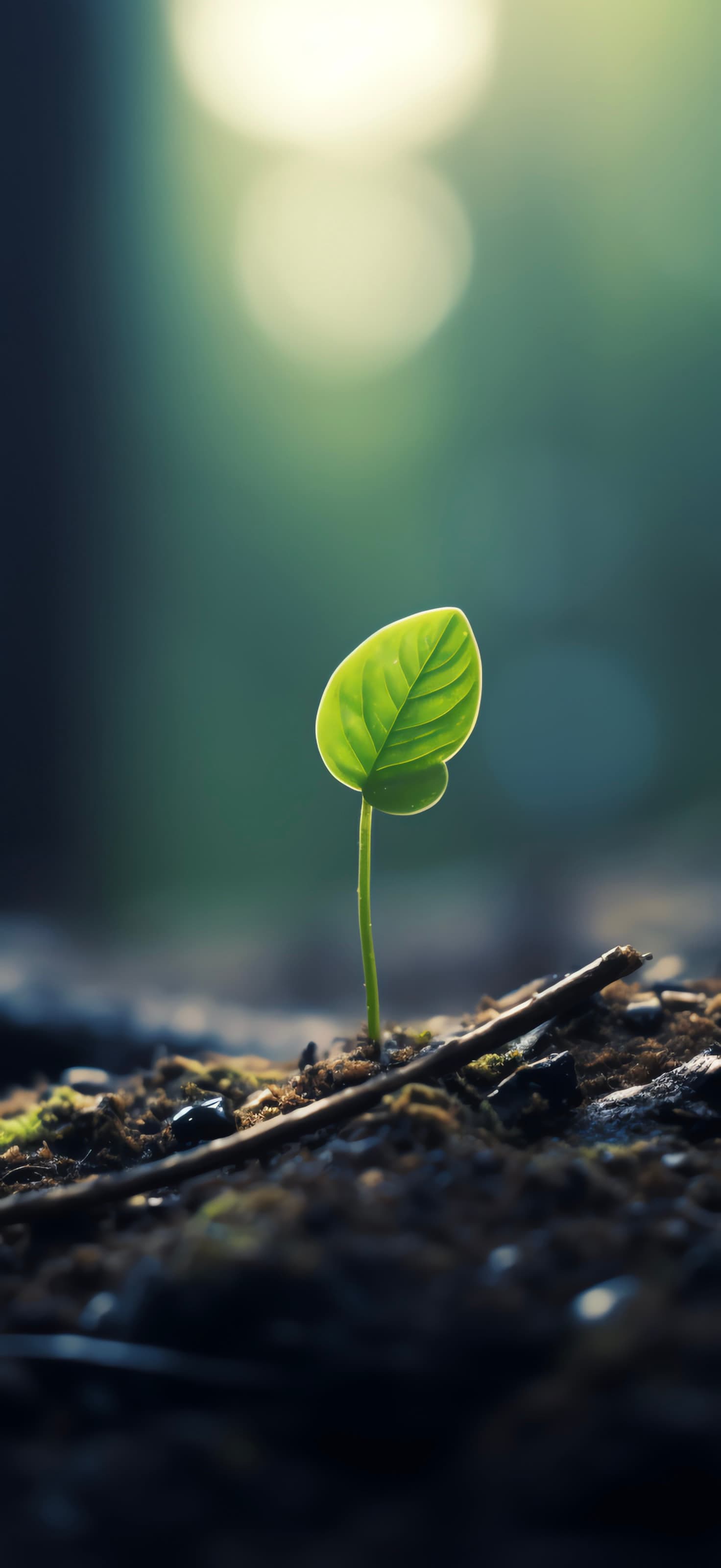 Tiny Green Sprout - free phone wallpaper