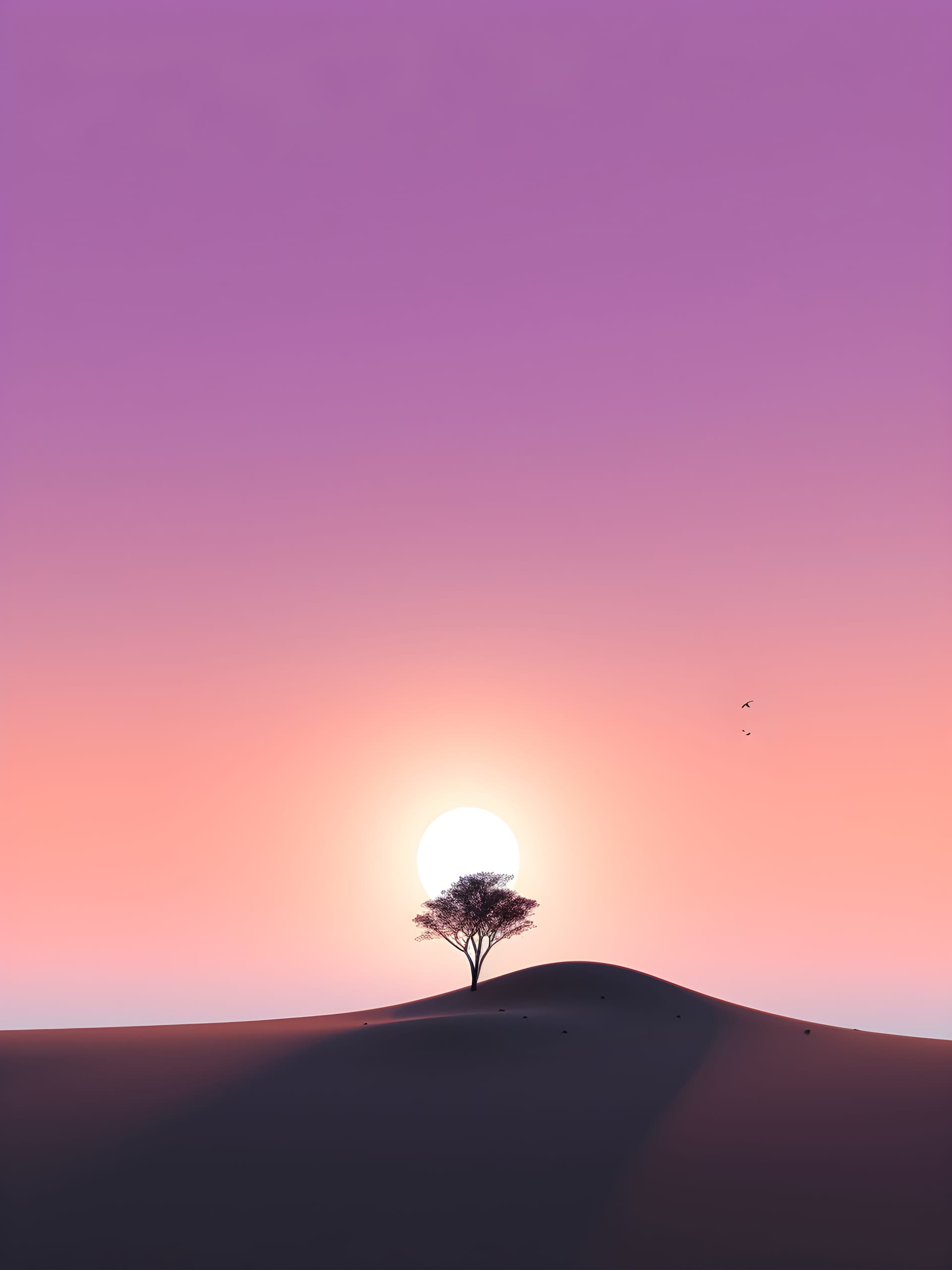 Desert Sunset Solitude - free phone wallpaper