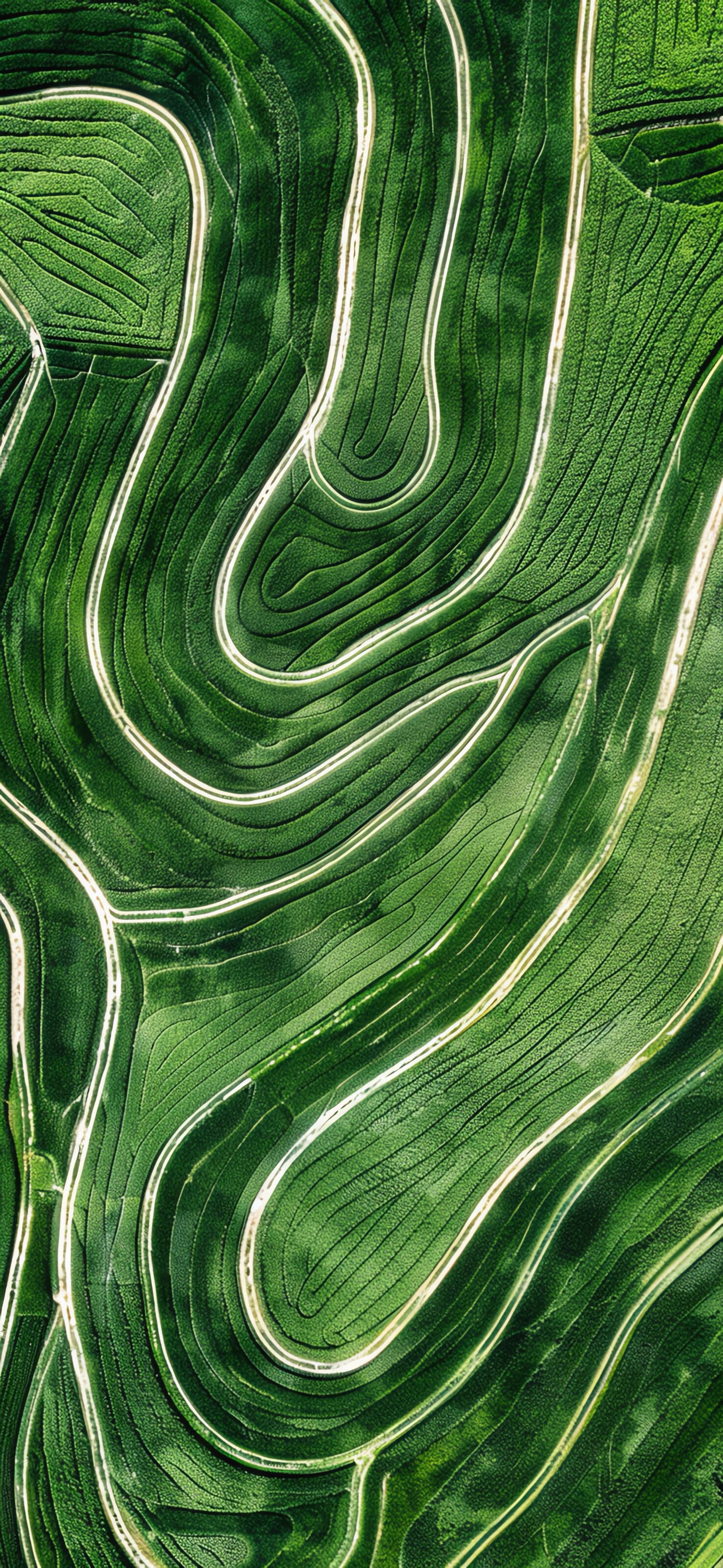 Green Field Curves - free phone wallpaper