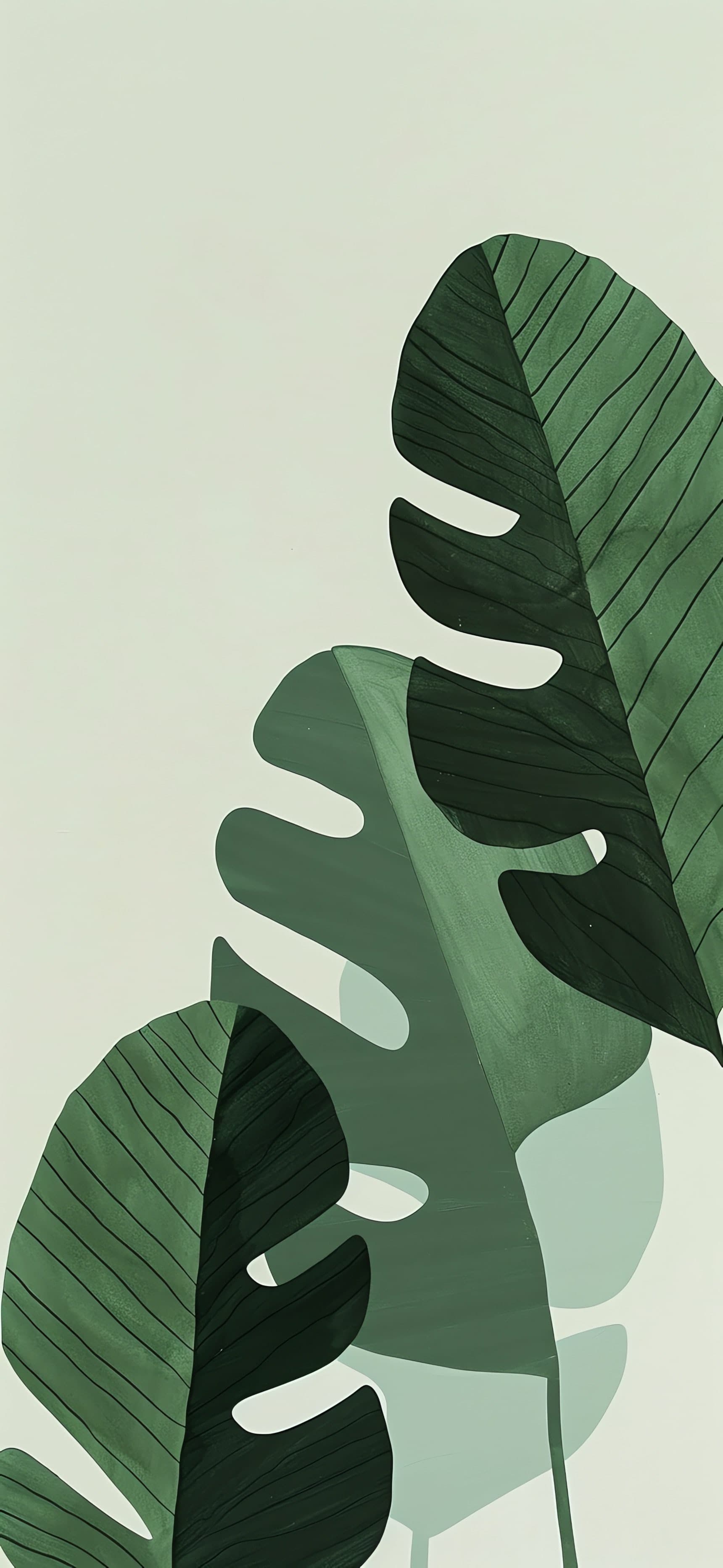 Dark Green Leaves - free phone wallpaper