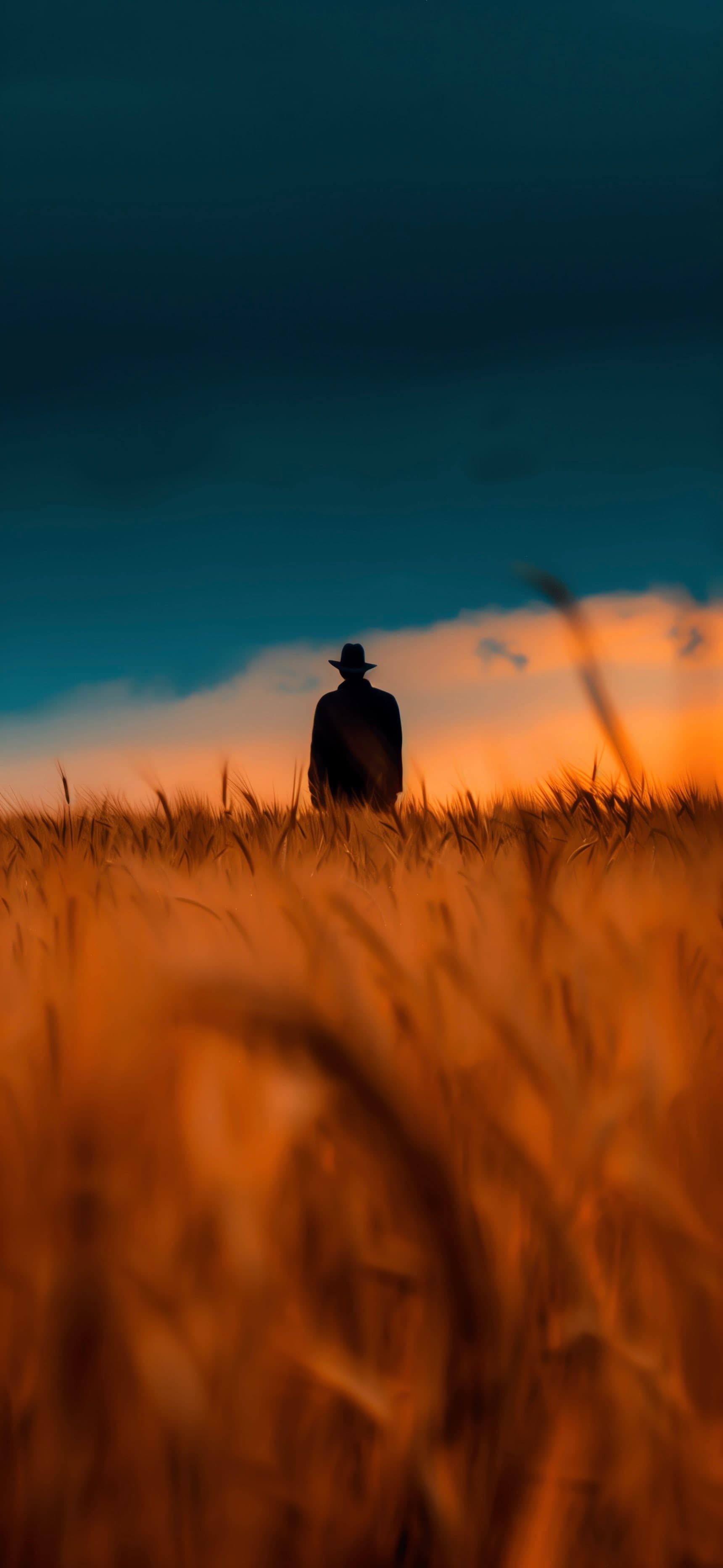 Amber Grain - free phone wallpaper