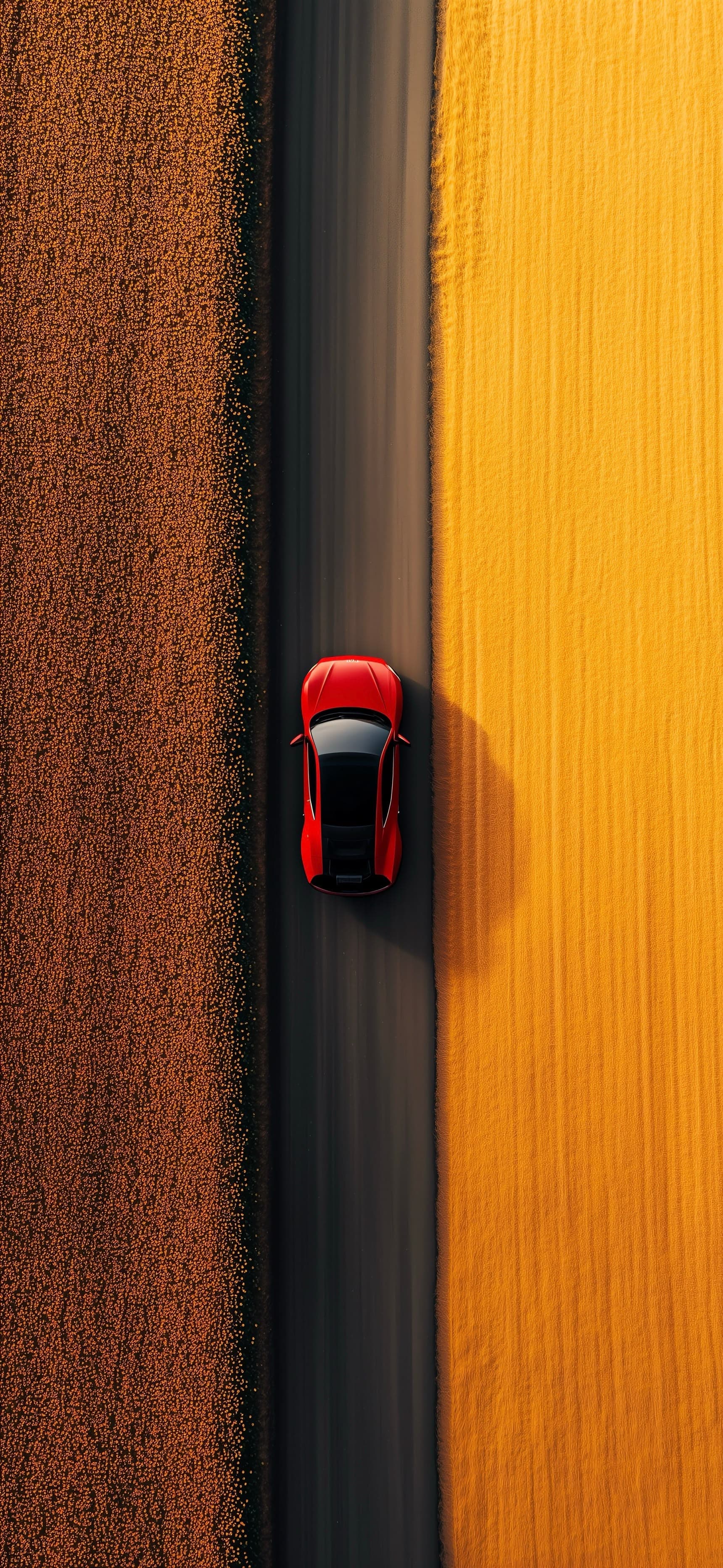 Racing the Dunes - free phone wallpaper