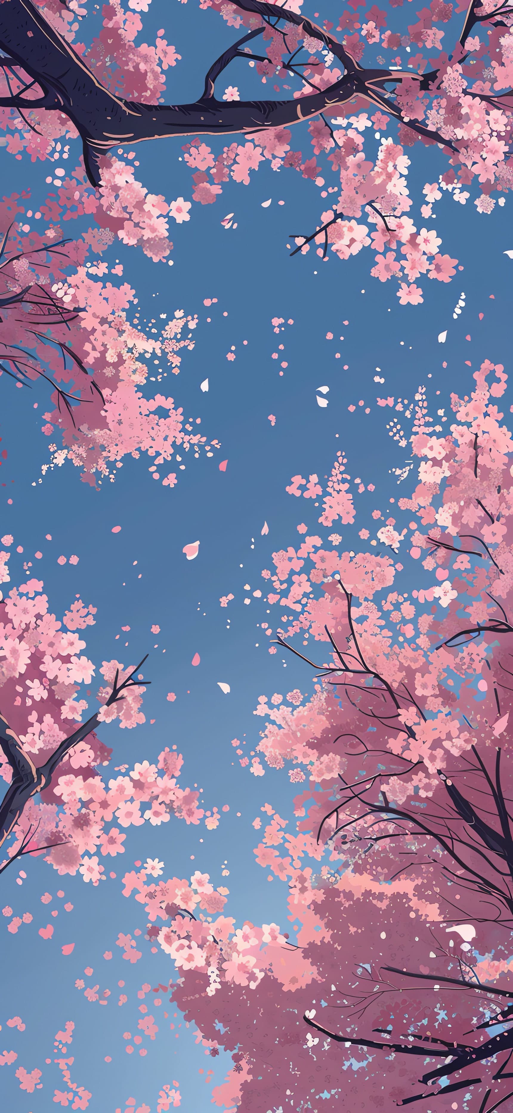 Cherry Blossom Sky - free phone wallpaper