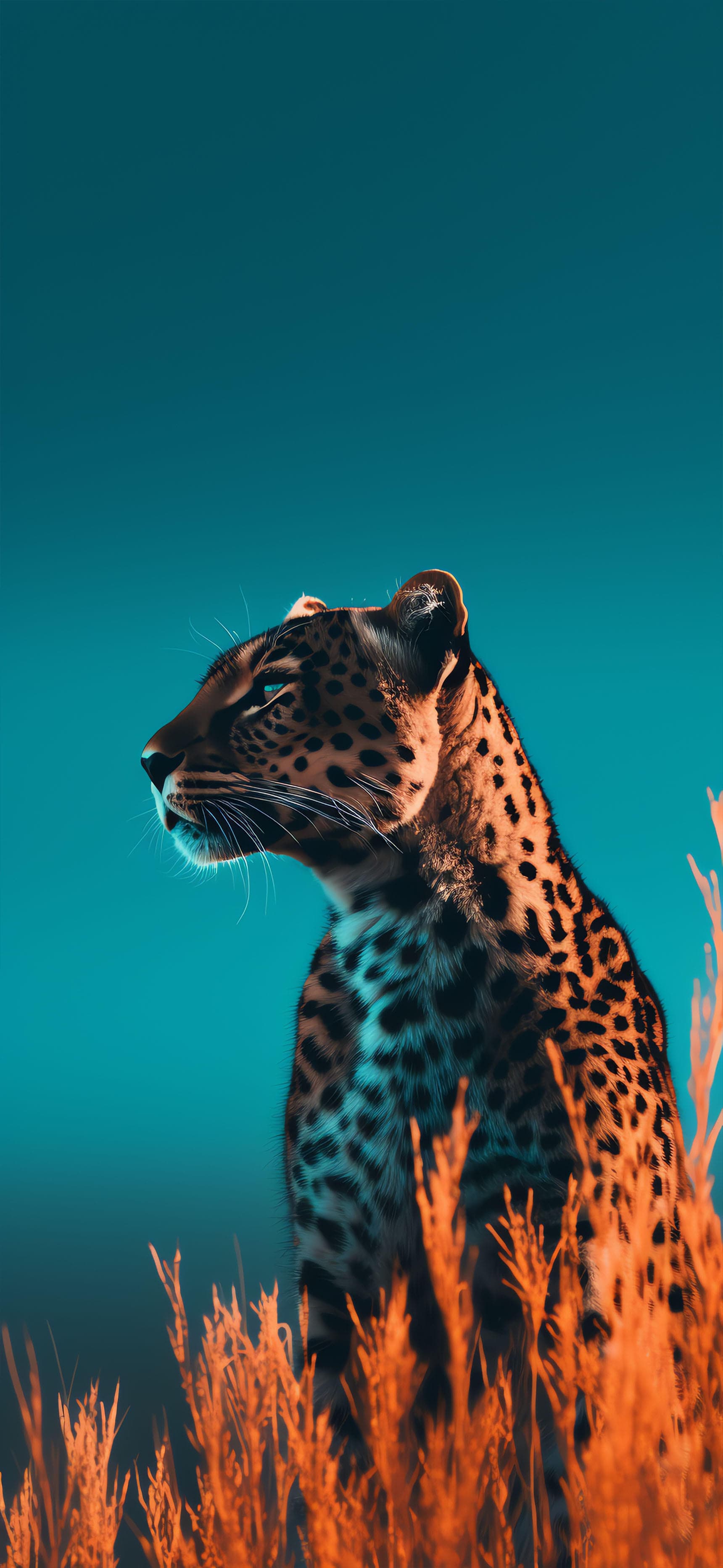 Leopard Teal Gaze - free phone wallpaper