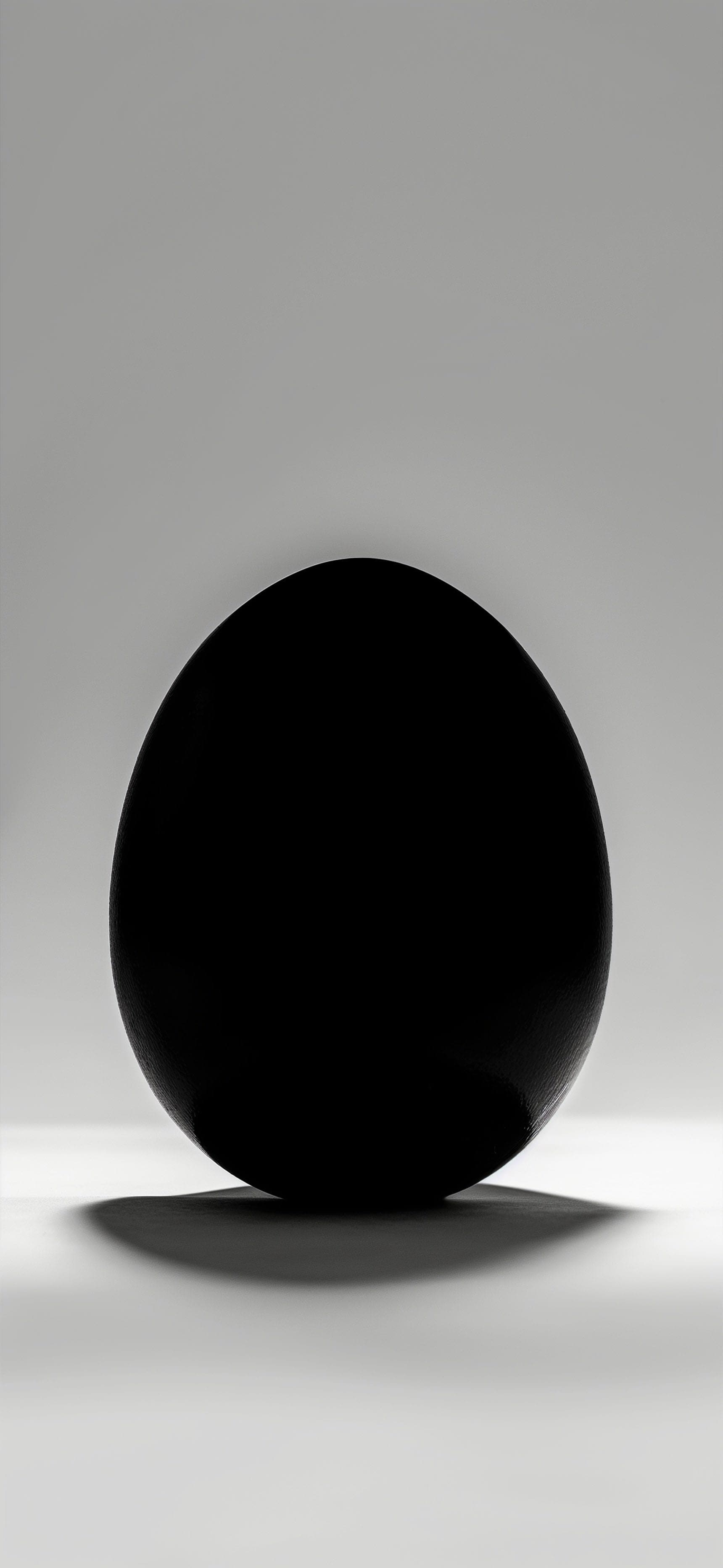 Monochrome Egg - free phone wallpaper