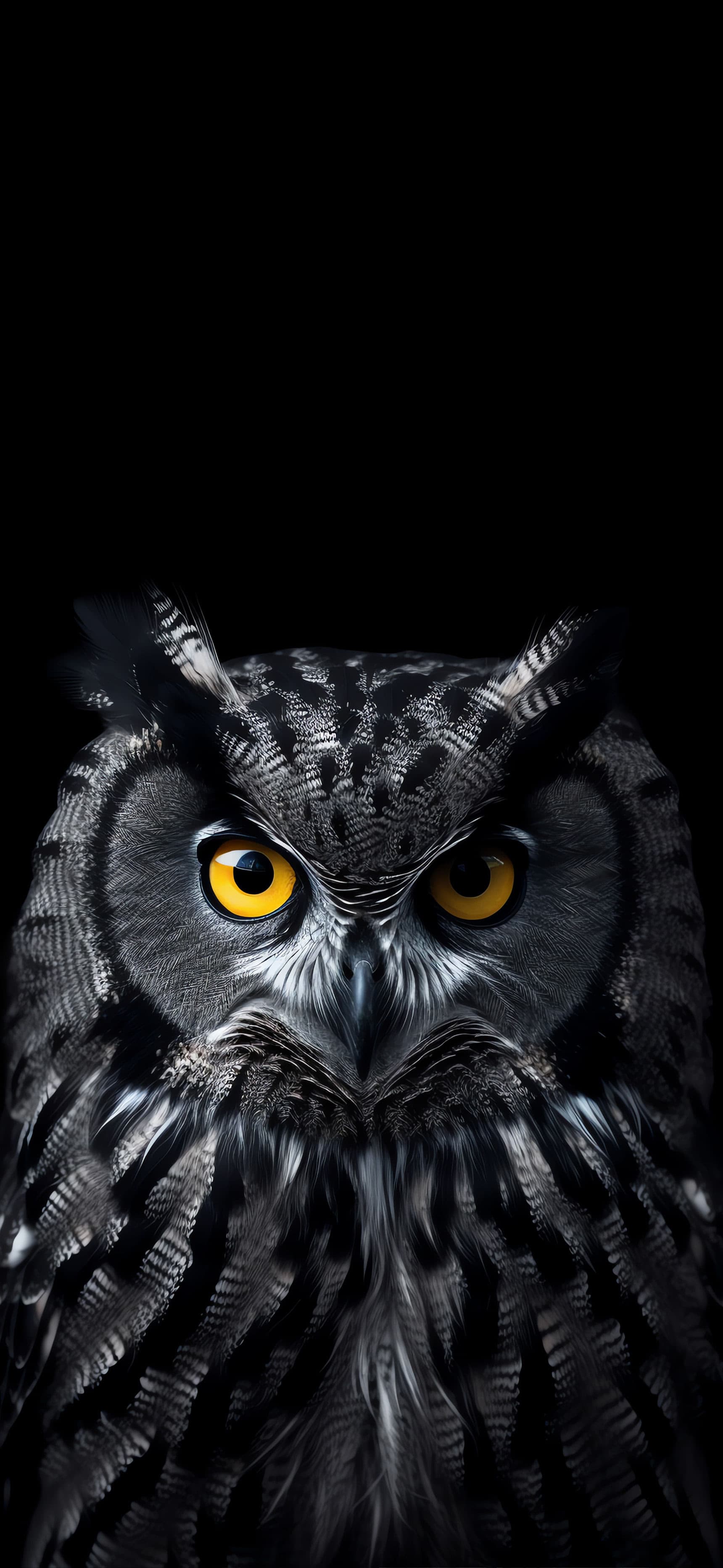 Intense Owl Gaze - free phone wallpaper