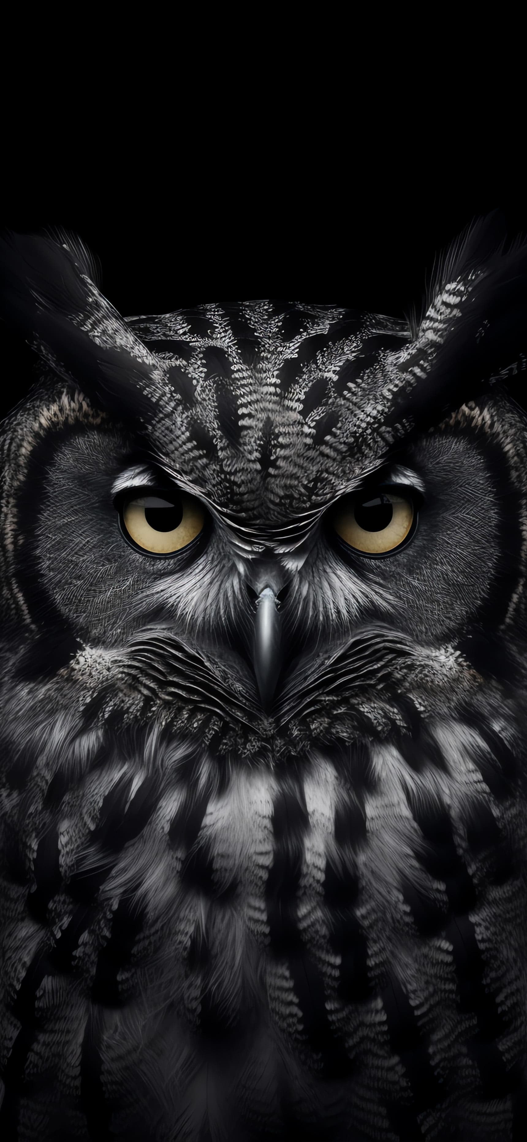 Intense Owl Stare - free phone wallpaper