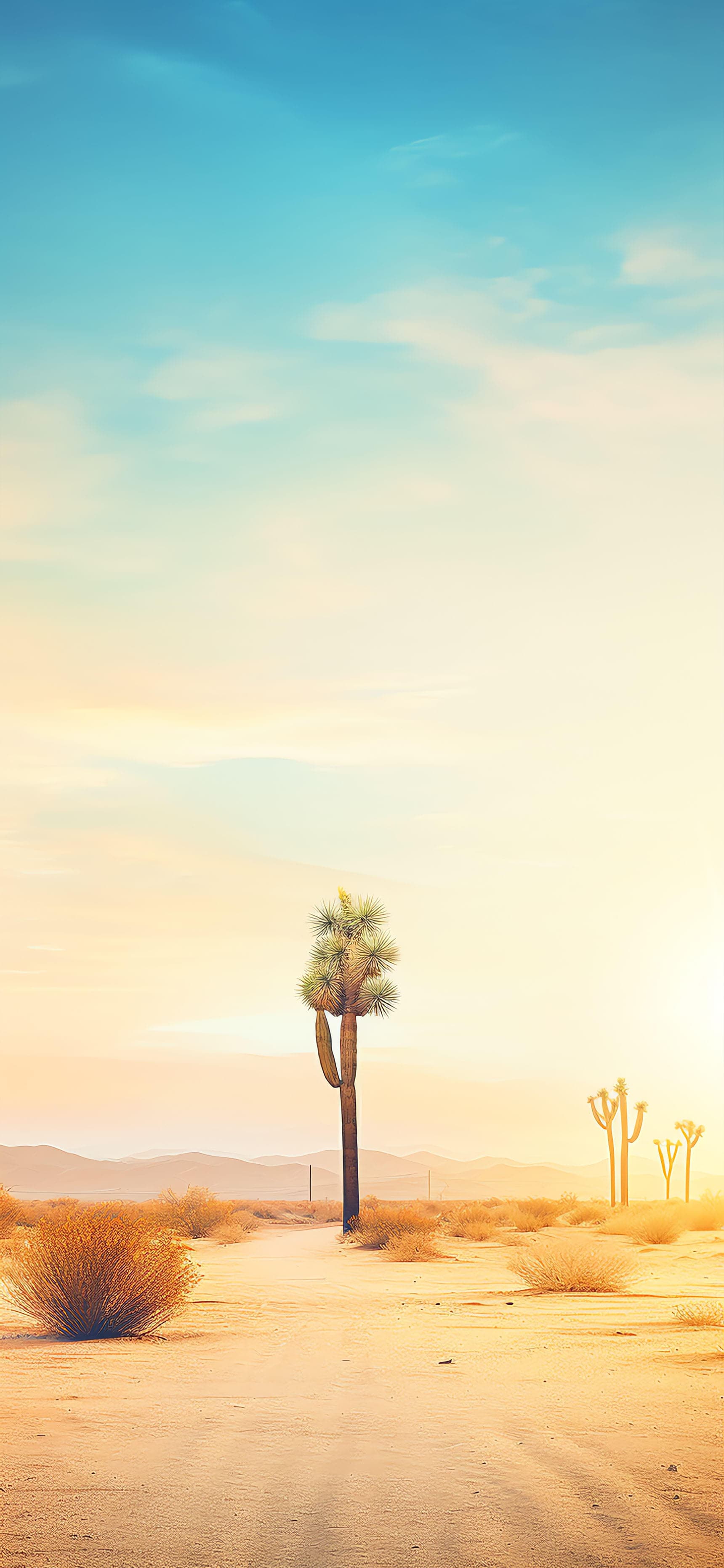 Desert Sunset Vista - free phone wallpaper