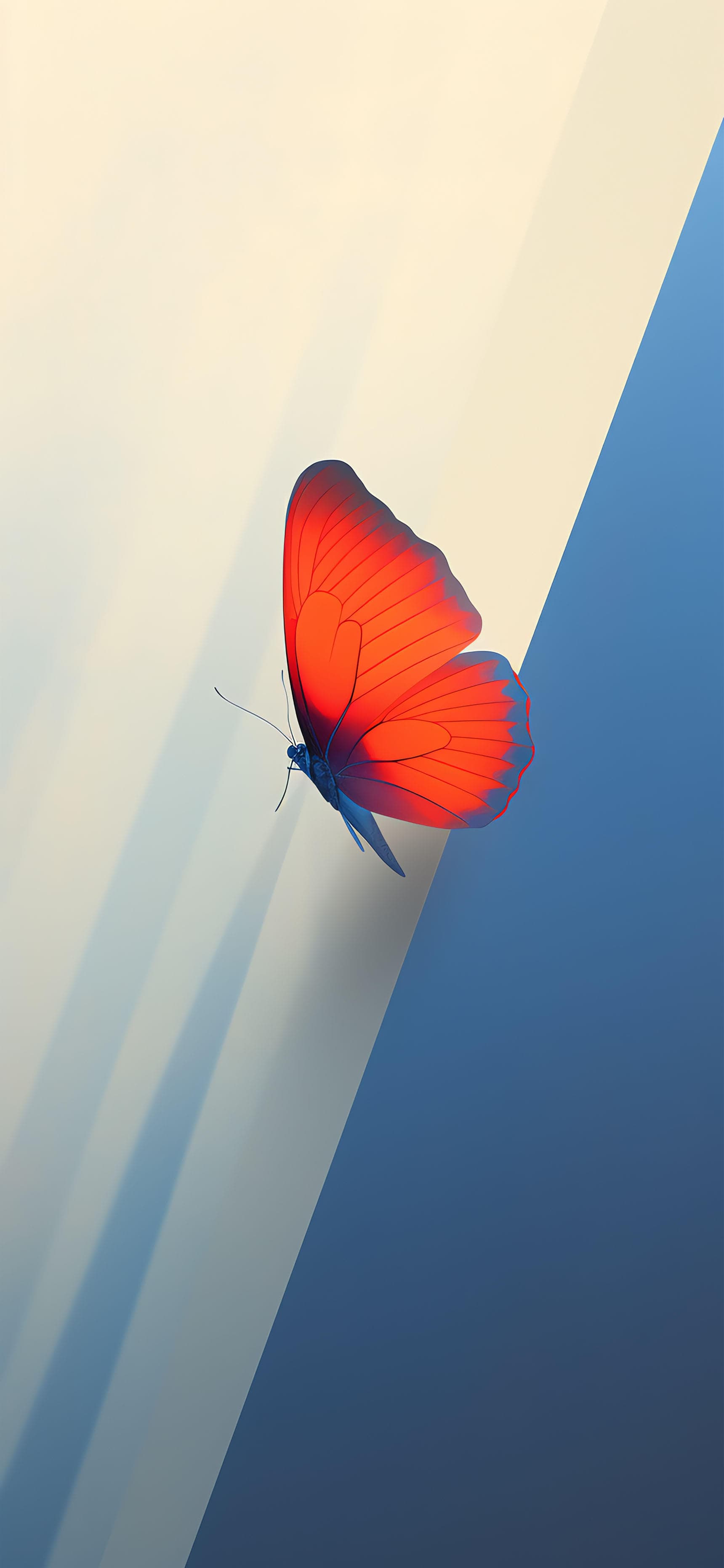Radiant Butterfly - free phone wallpaper