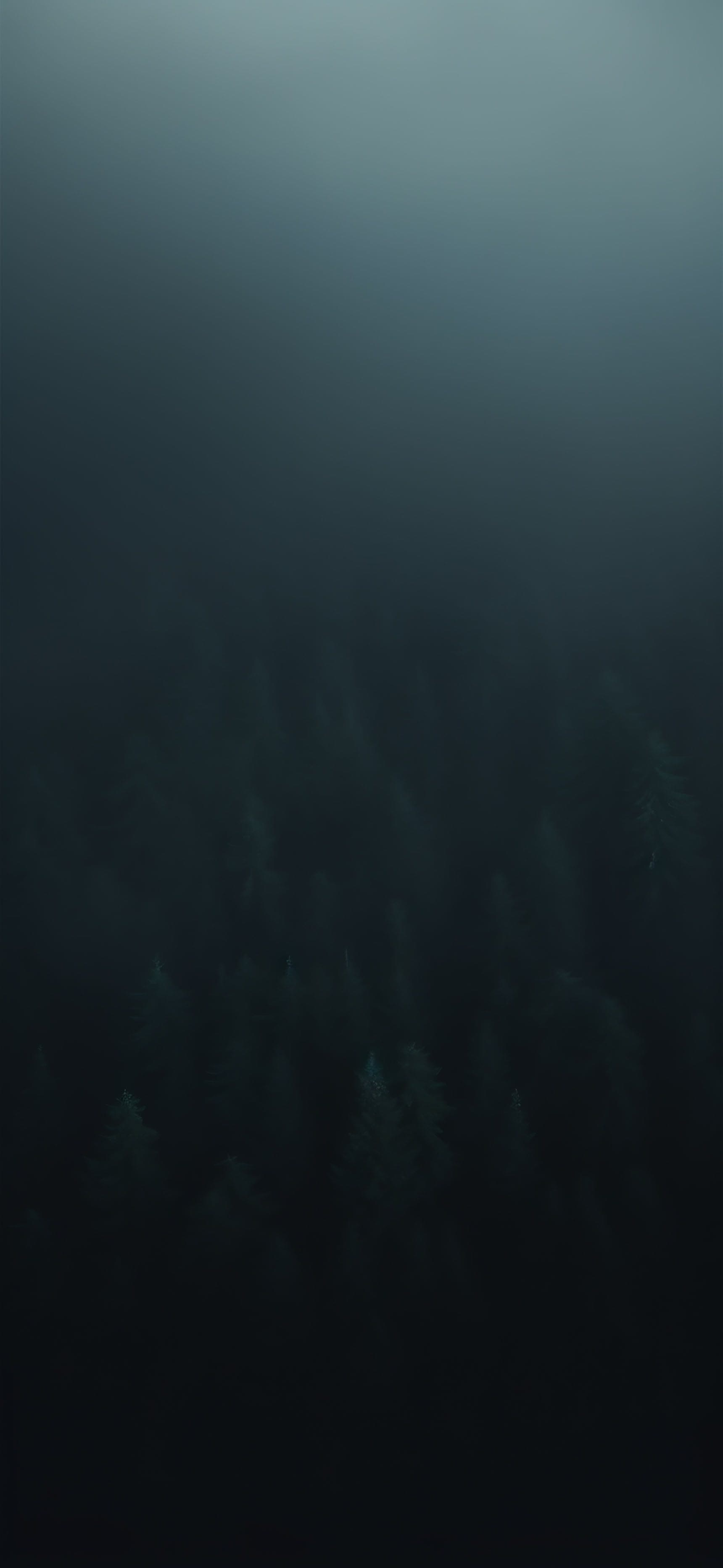 Misty Green Woods - free phone wallpaper