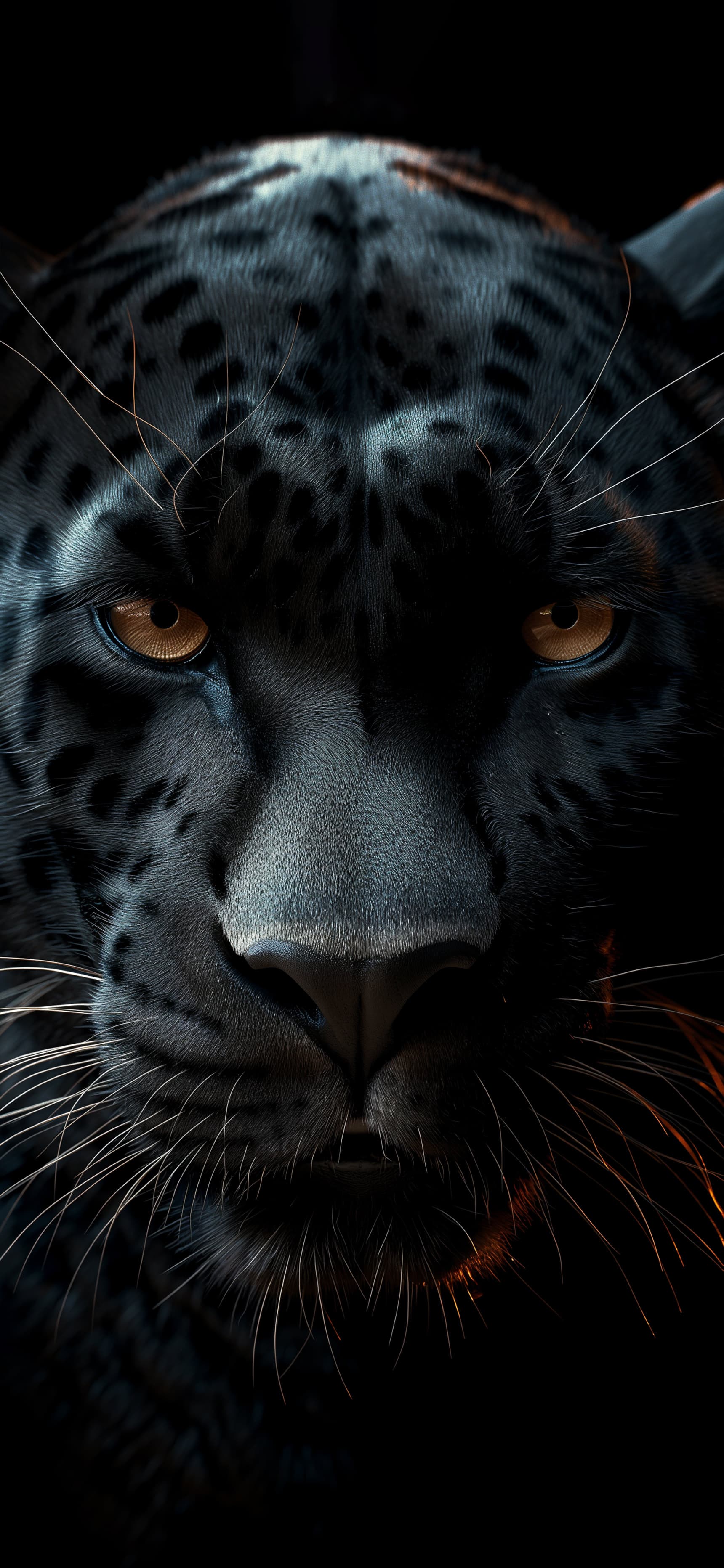 Intense Panther Stare - free phone wallpaper