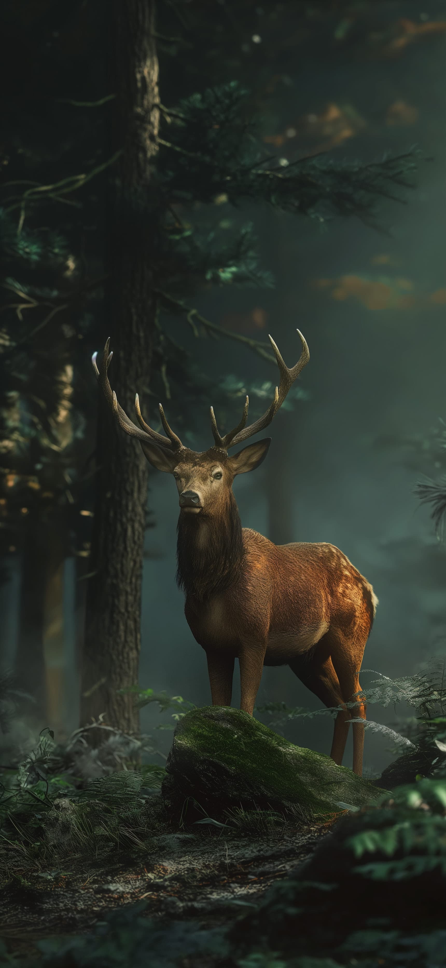 Forest Stag Majesty - free phone wallpaper