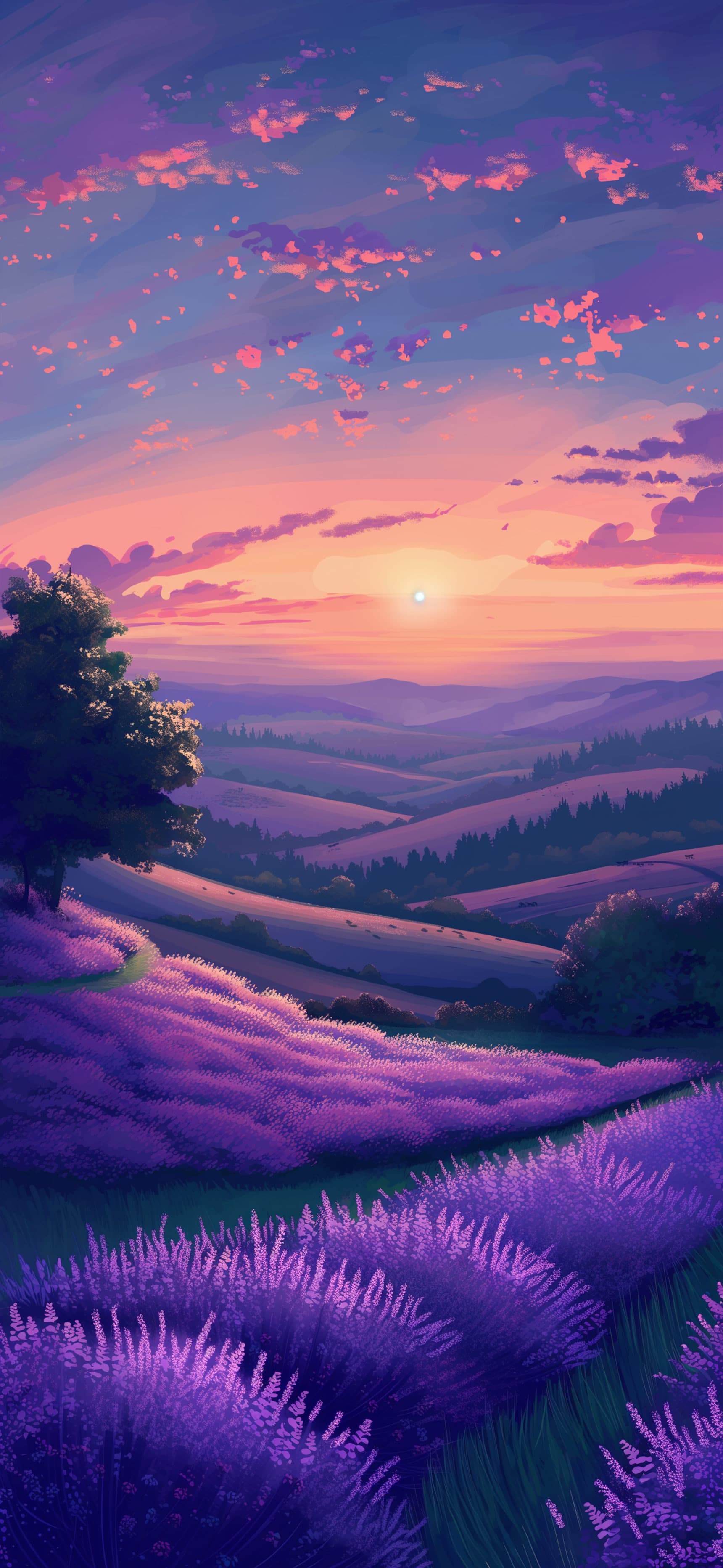 Lavender Field Sunset - free phone wallpaper