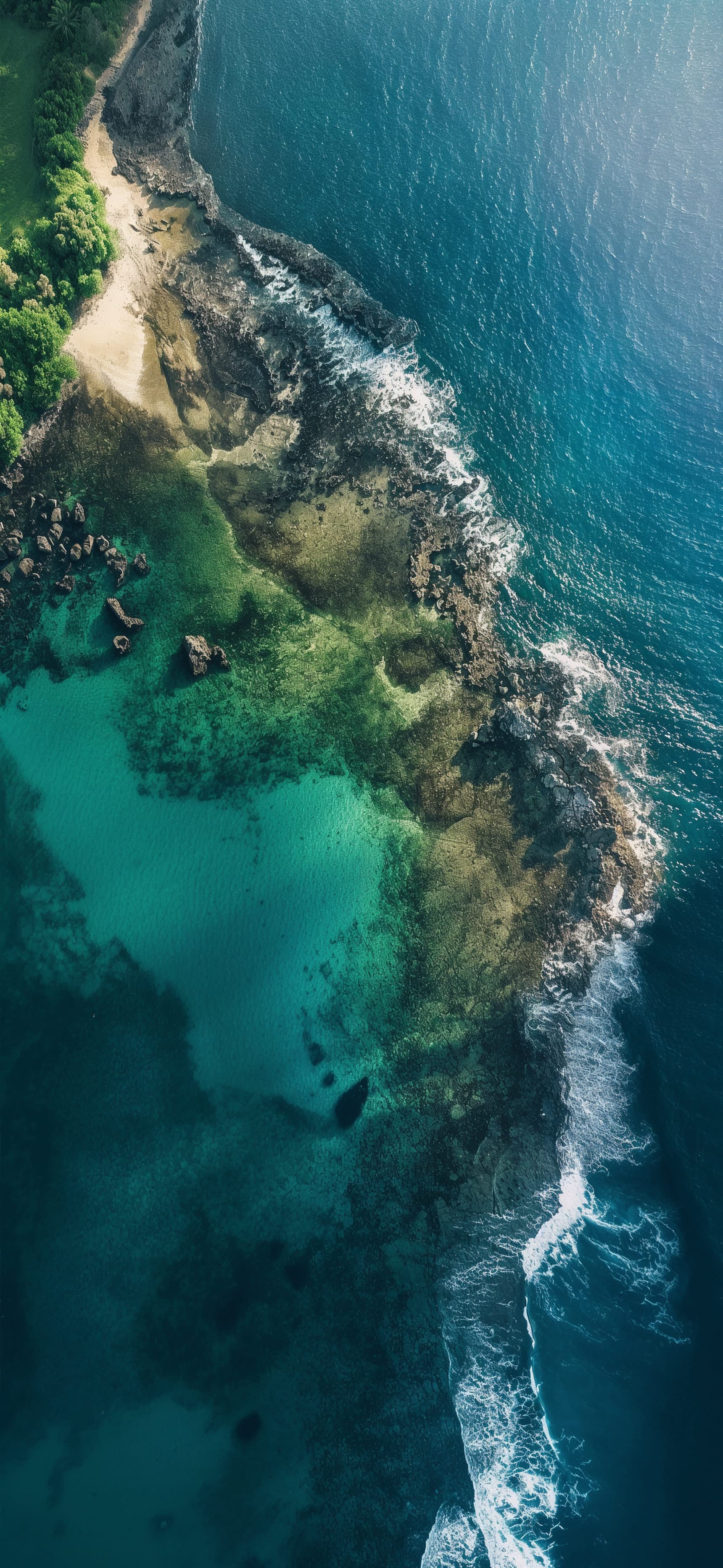 Tropical Bend - free phone wallpaper