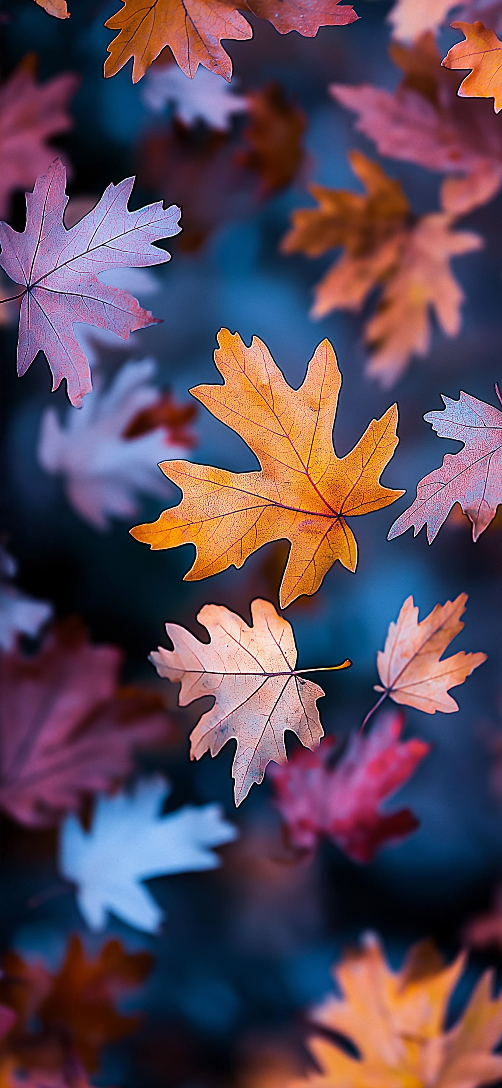 Autumn Leaf Cascade - free phone wallpaper
