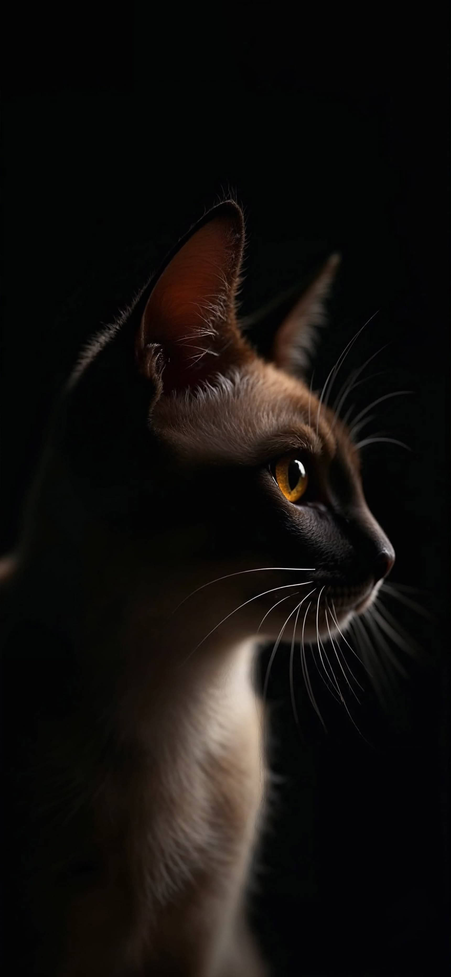 Cozy Cat Nap - free phone wallpaper