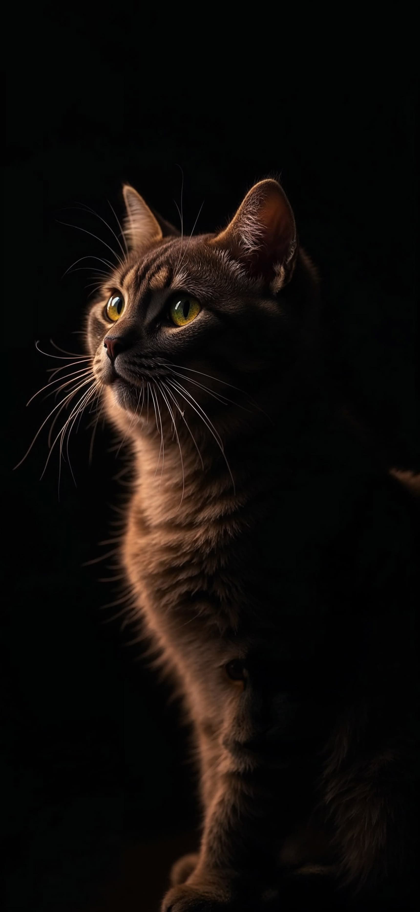 Contemplative Feline Portrait - free phone wallpaper