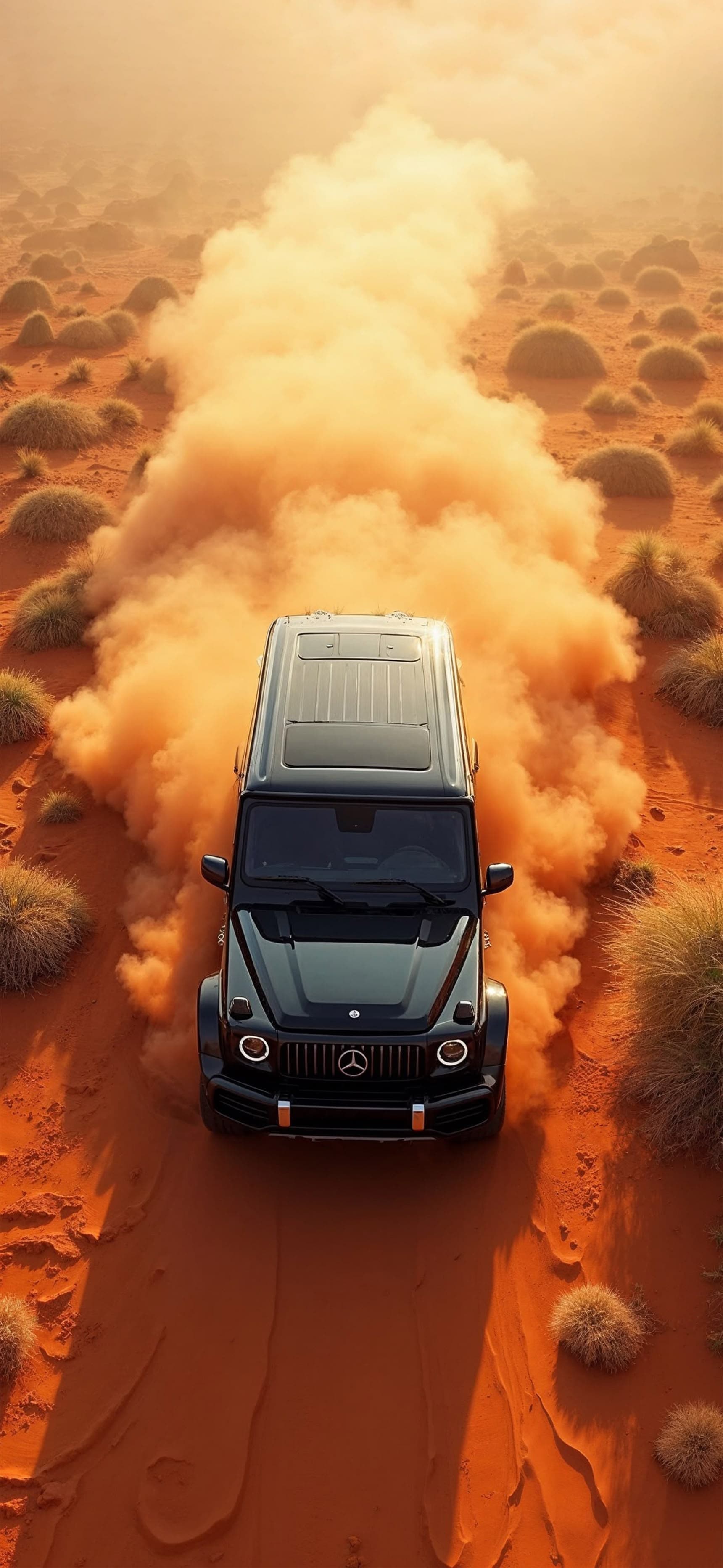 Desert Drifting 1 - free phone wallpaper
