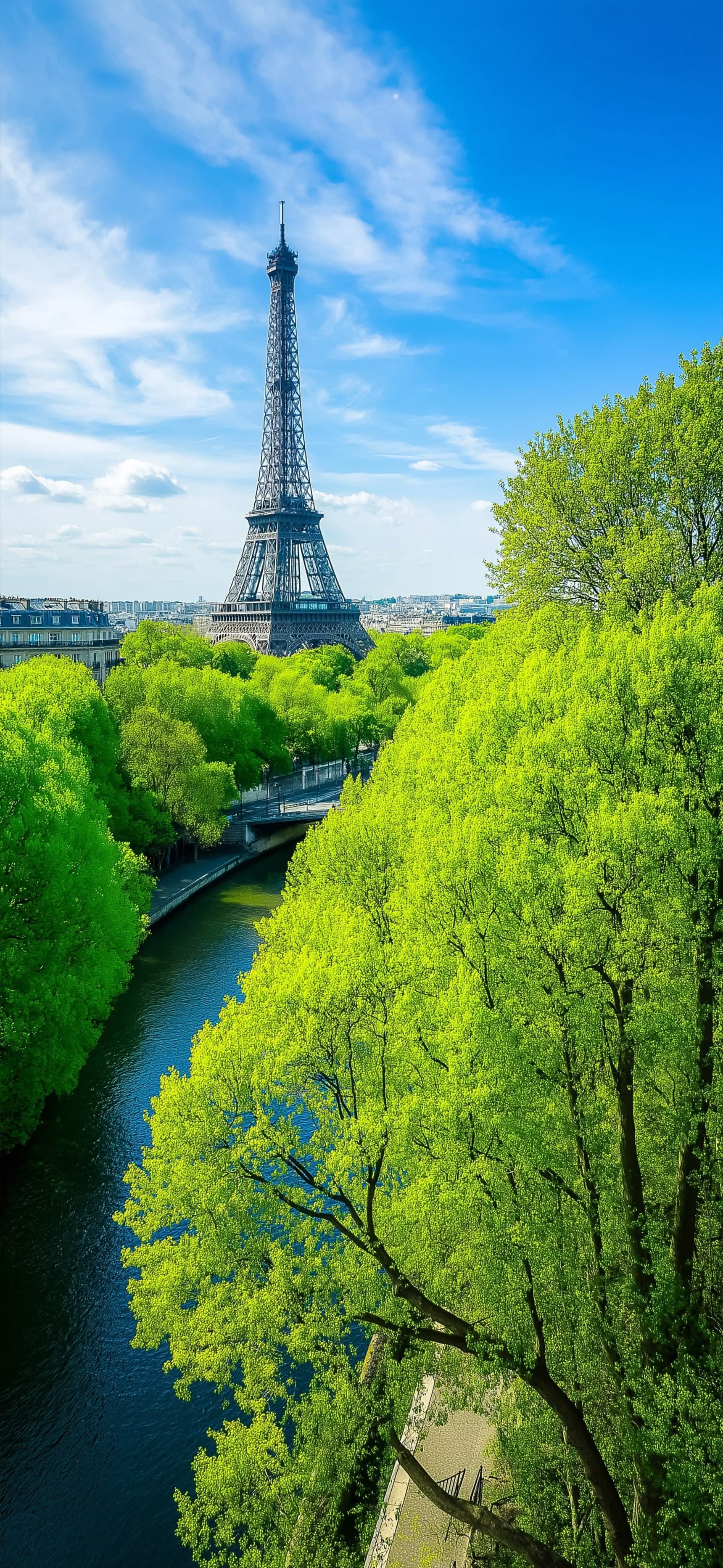 Parisian Green View - free phone wallpaper