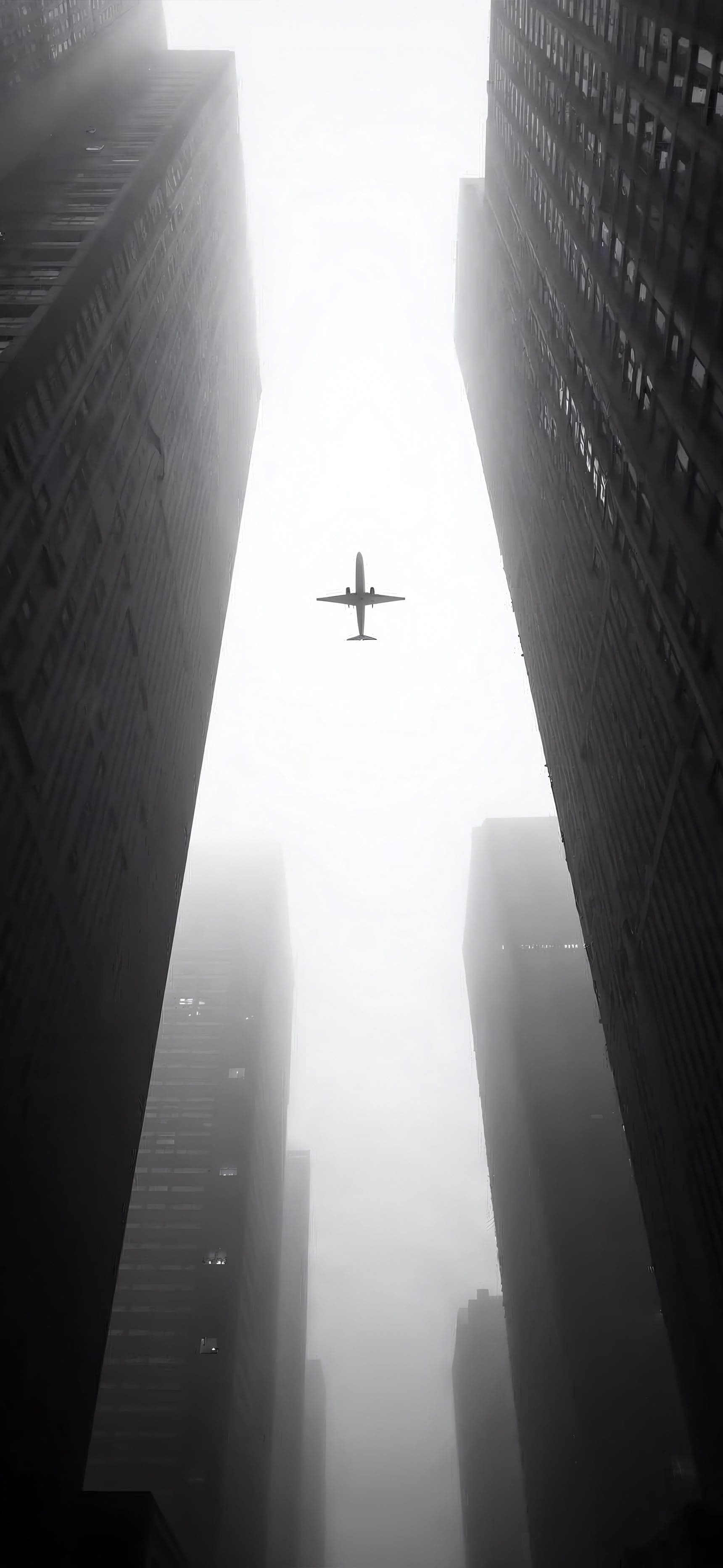 Urban Flight - free phone wallpaper