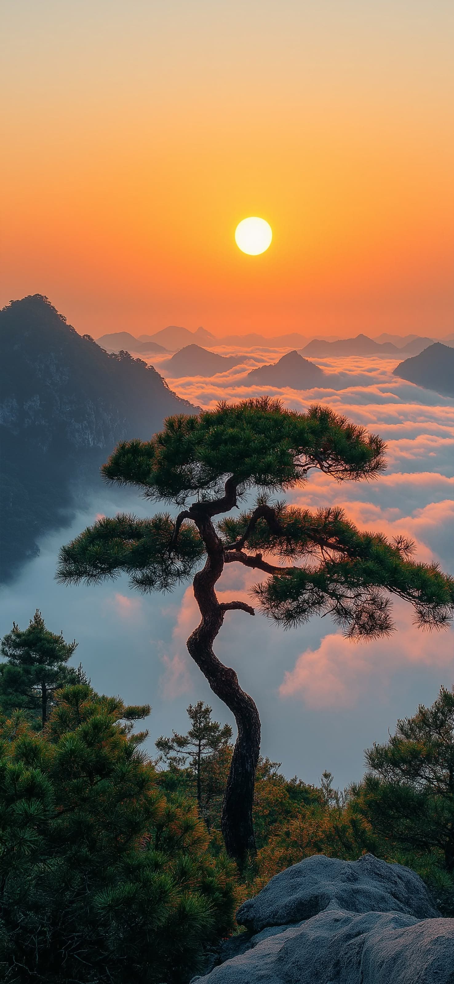 Mountain Sunrise Tree - free phone wallpaper