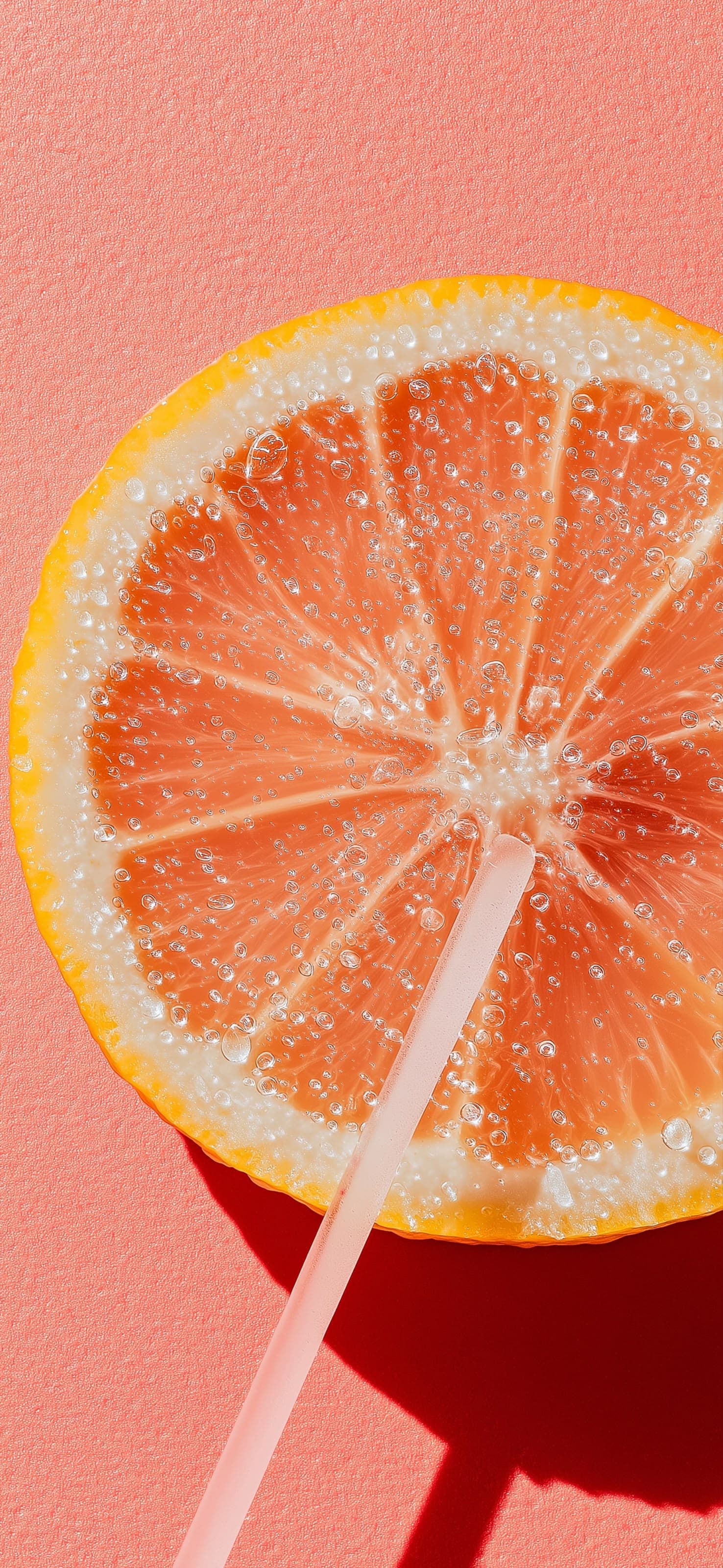 Citrus Slice - free phone wallpaper