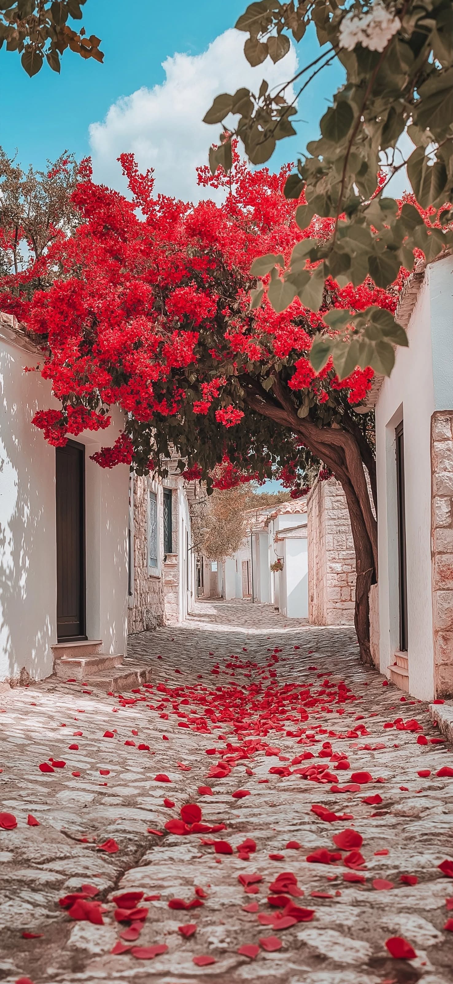Floral Pathway - free phone wallpaper