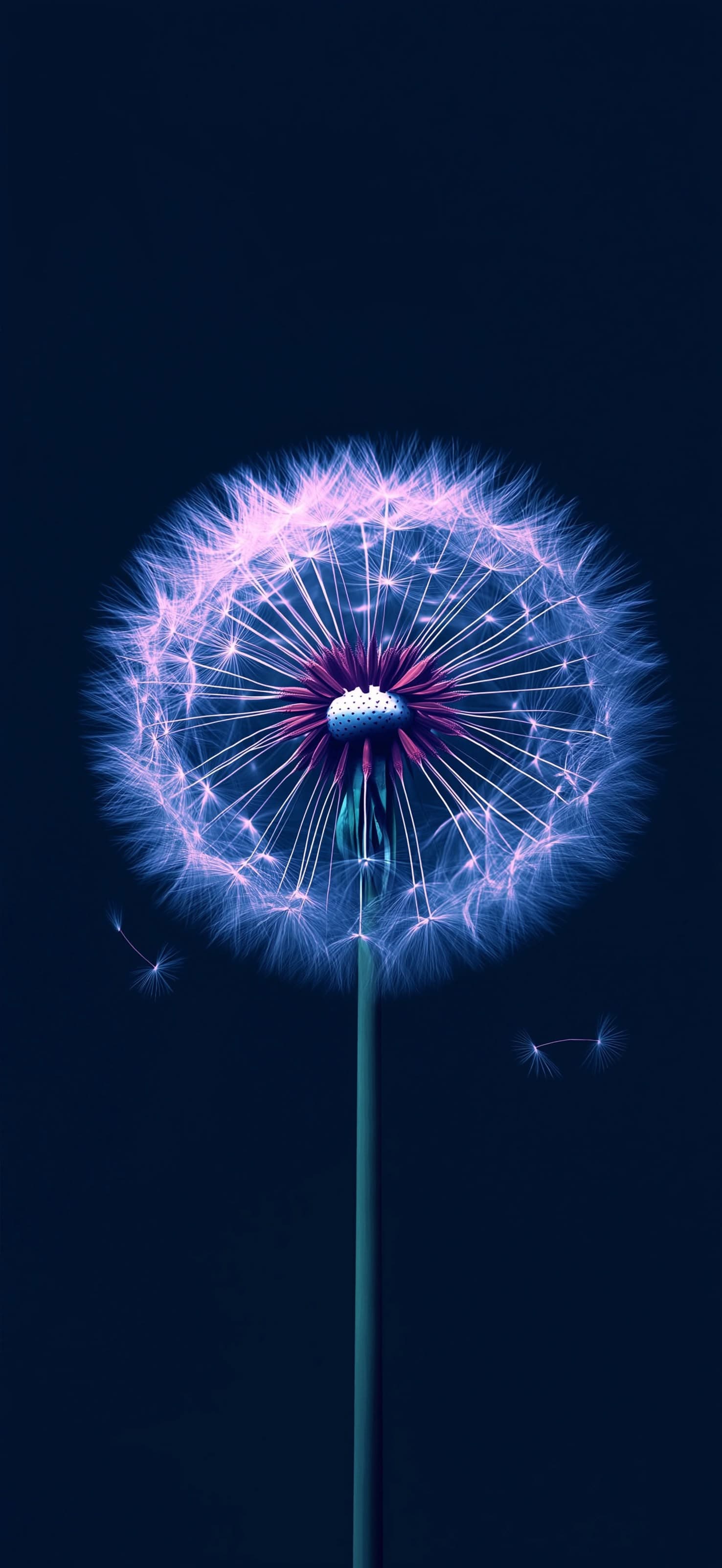 Glowing Dandelion - free phone wallpaper