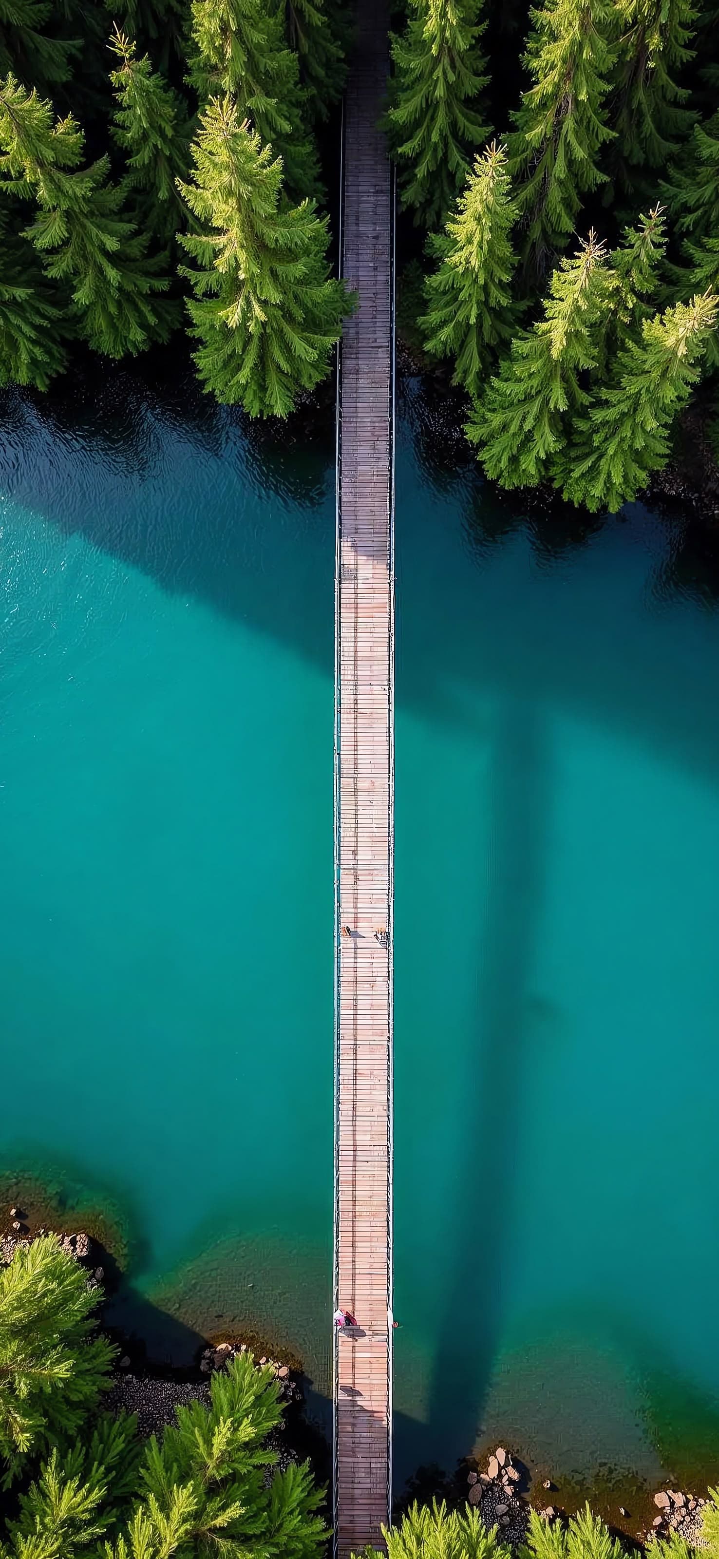 Wooden Bridge Over Water - free phone wallpaper
