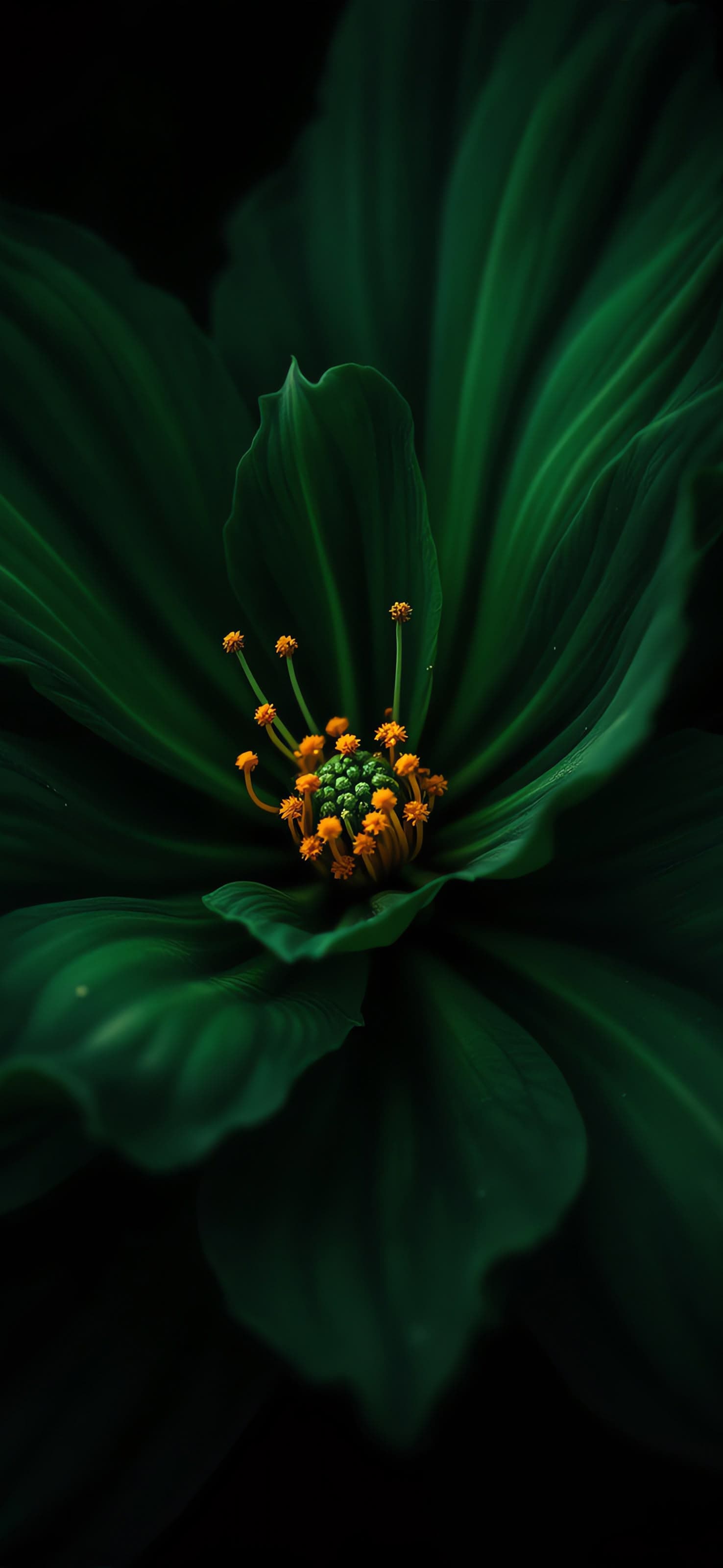Green Flower Close-up - free phone wallpaper