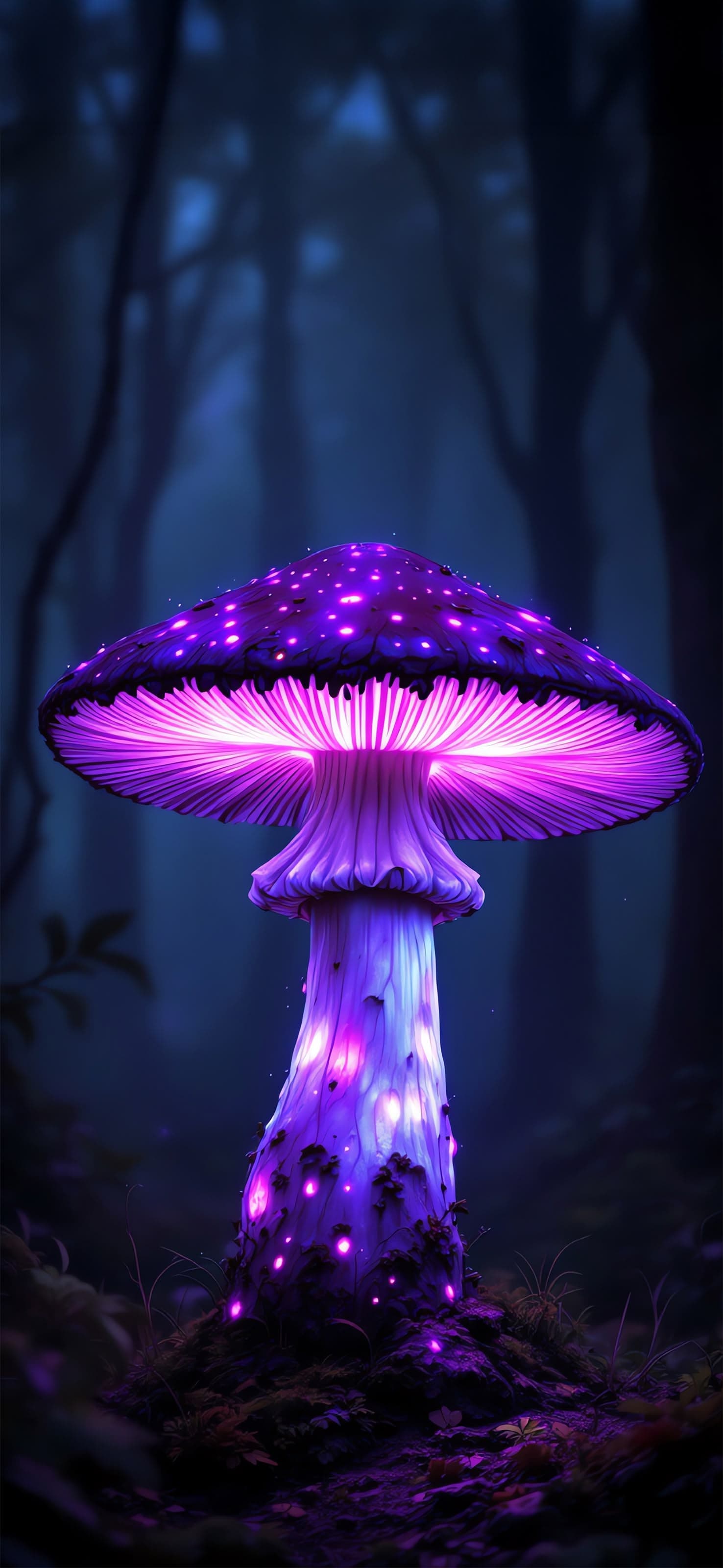 Illuminated Mushroom - free phone wallpaper