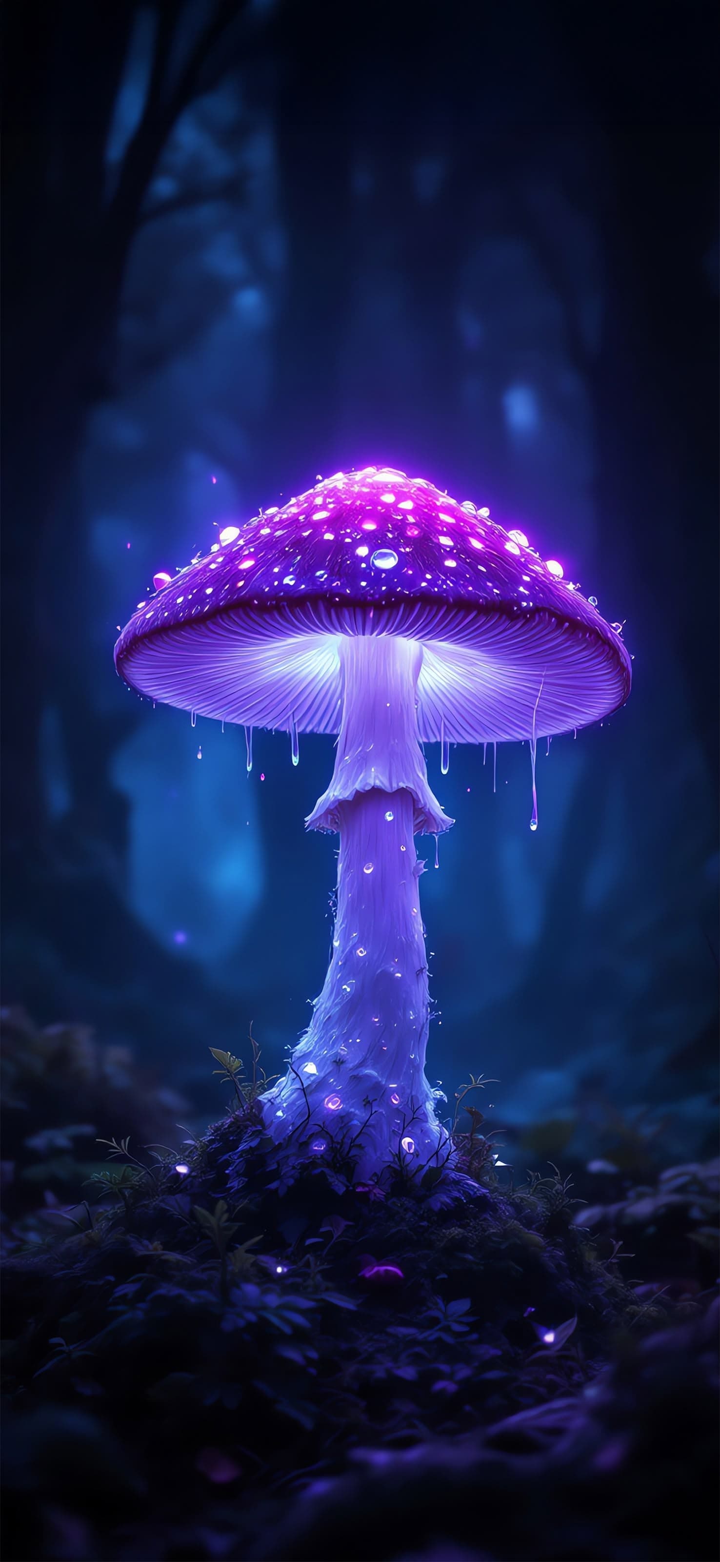 Glowing Mushroom - free phone wallpaper