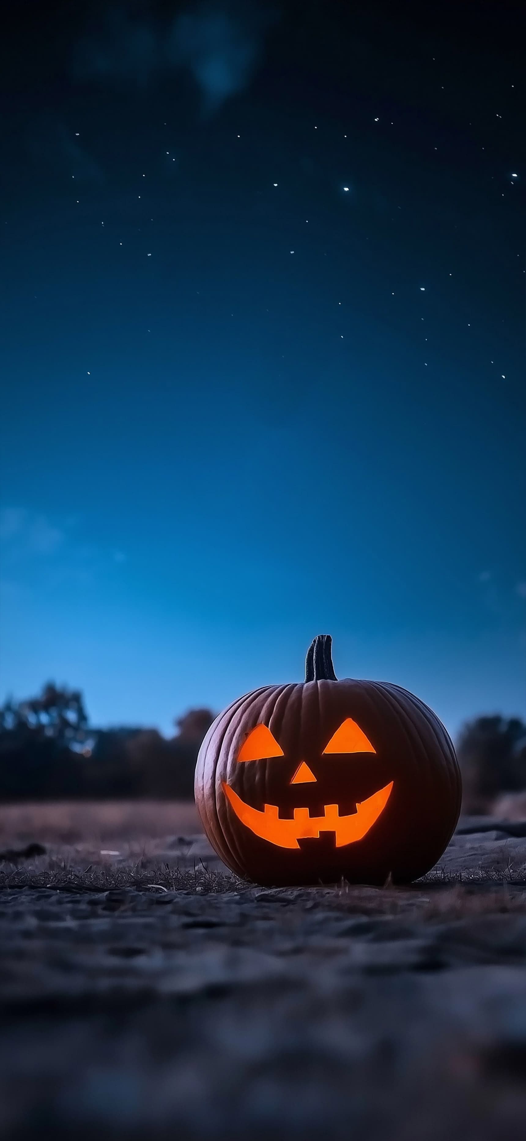 Midnight Pumpkin Glow - free phone wallpaper