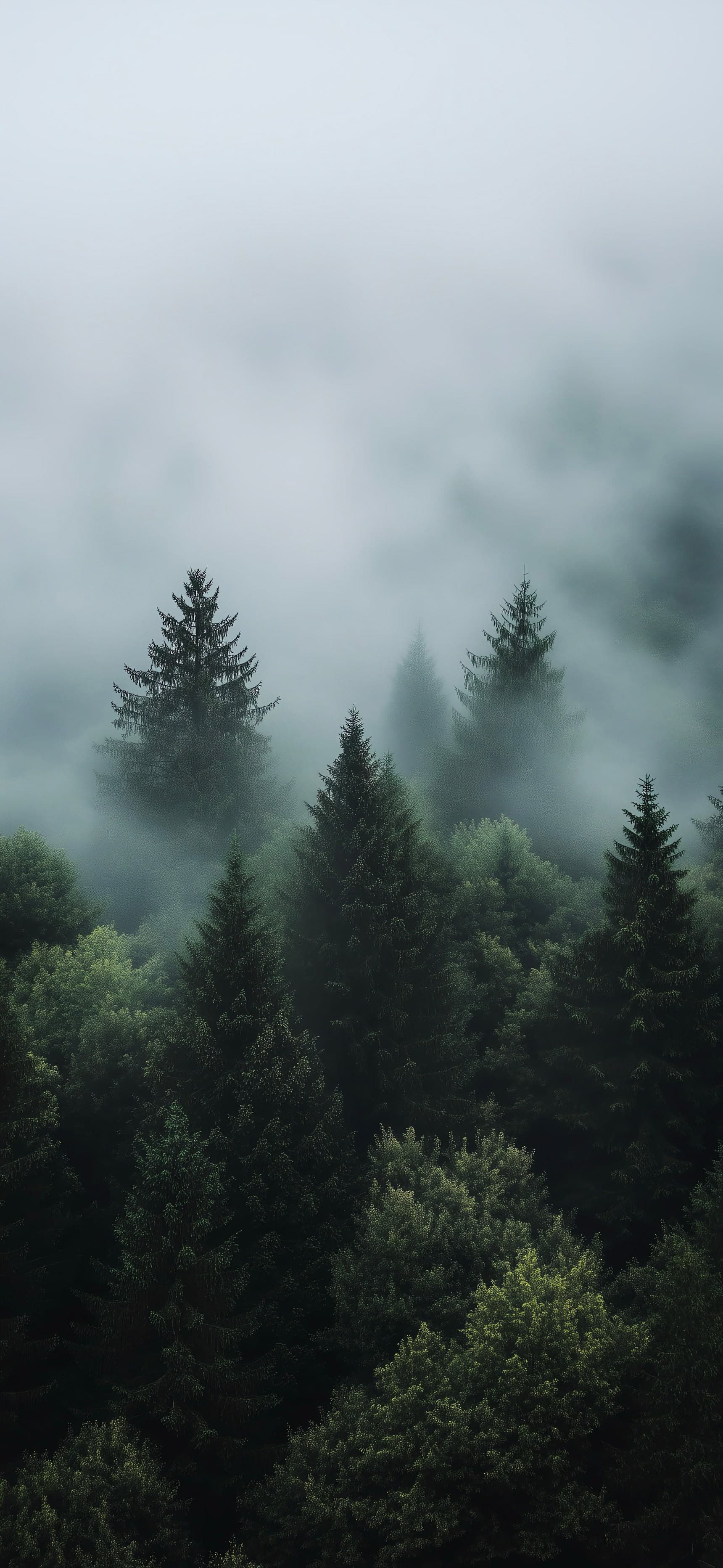 Ethereal Forest - free phone wallpaper