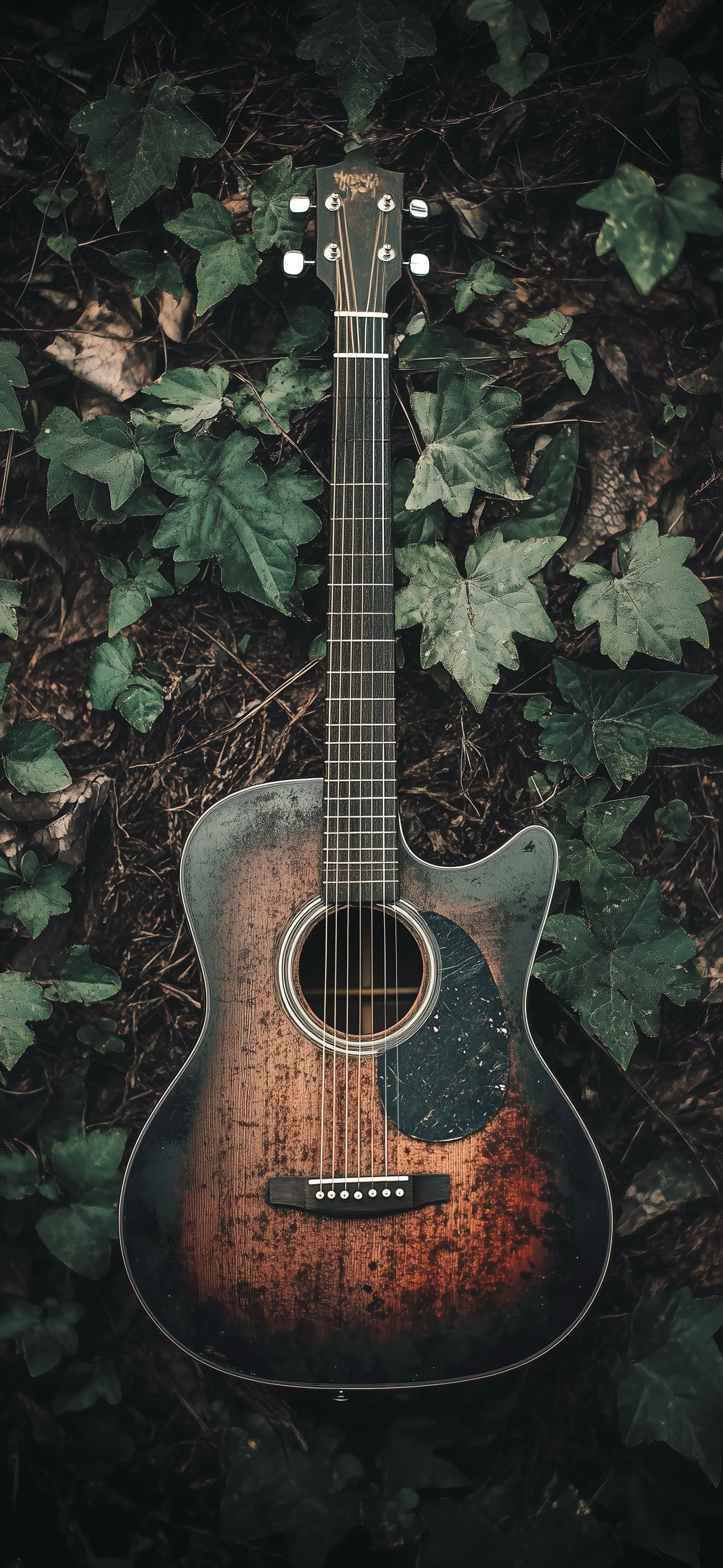 Guitar in Vines - free phone wallpaper