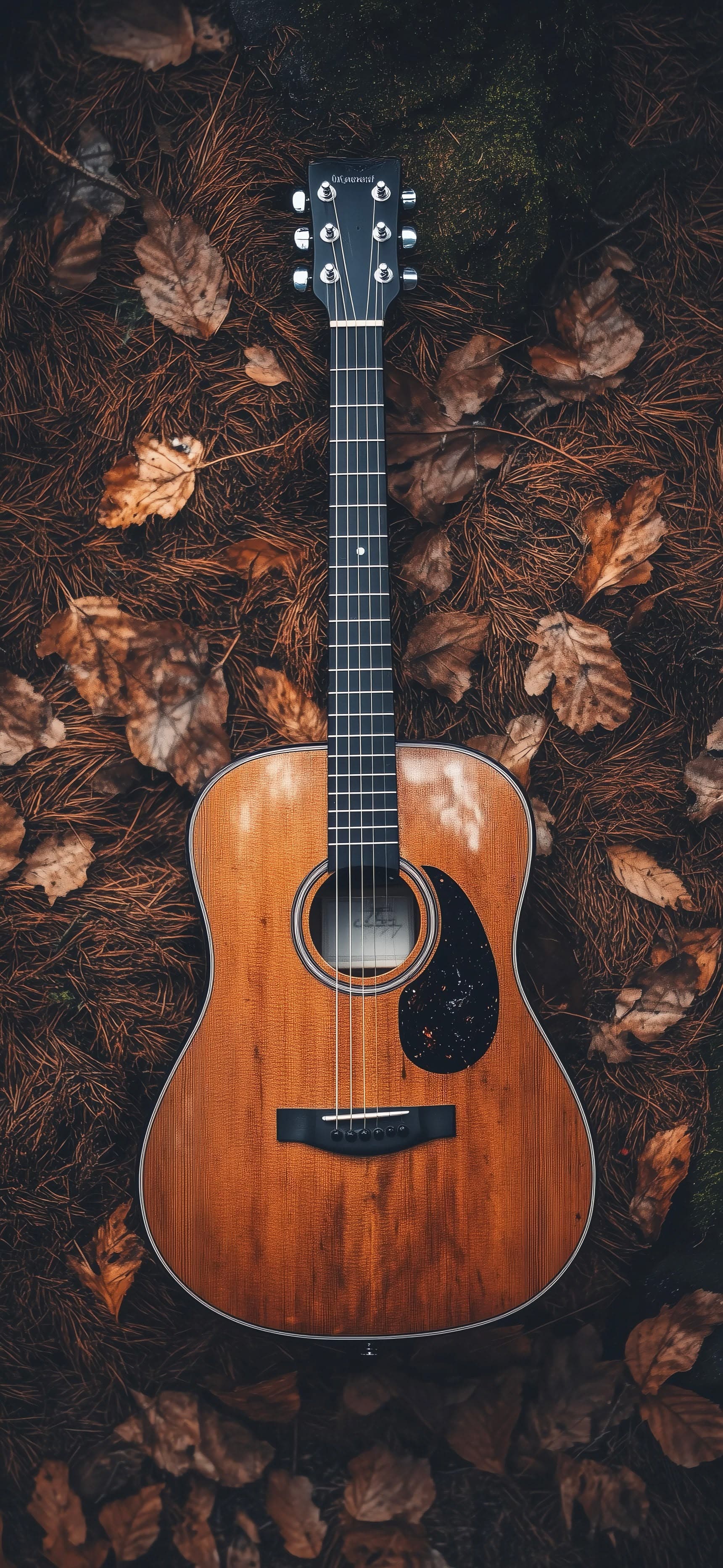 Guitar Autumn Leaves - free phone wallpaper