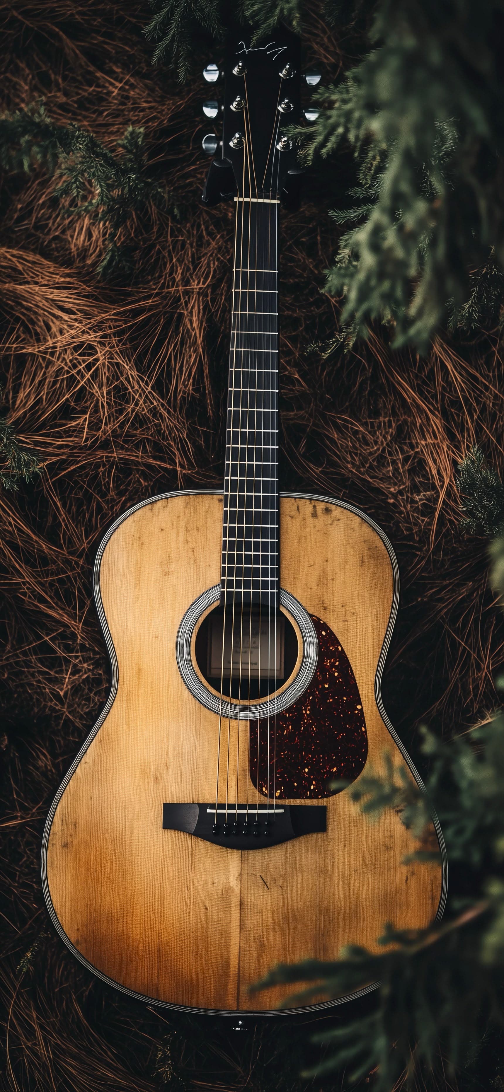 Acoustic Serenade - free phone wallpaper