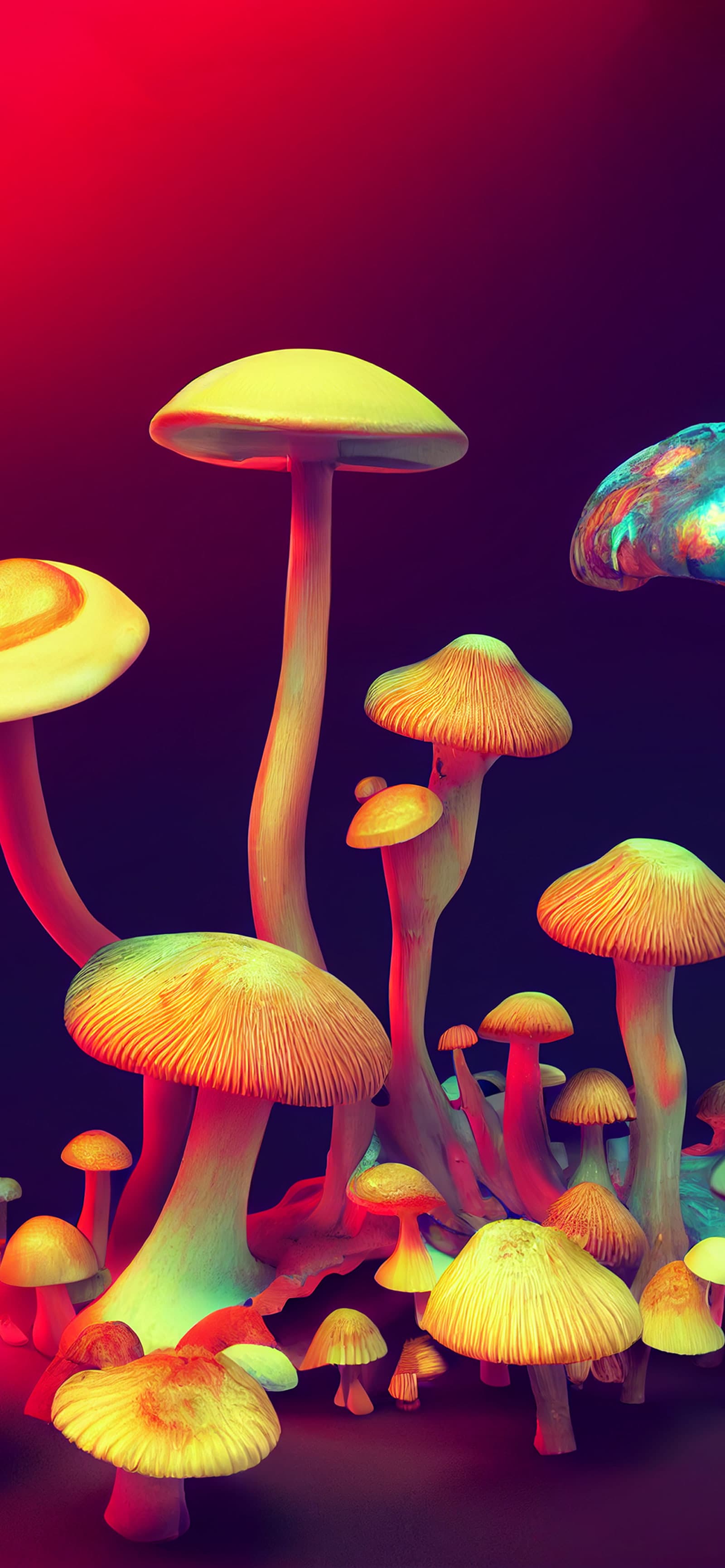 Glowing Fungi - Pro phone wallpaper