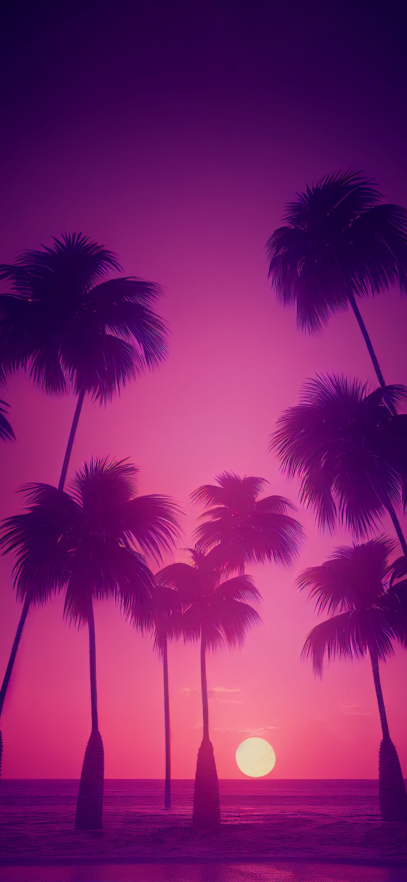 Magenta Palm Sunset - Pro phone wallpaper