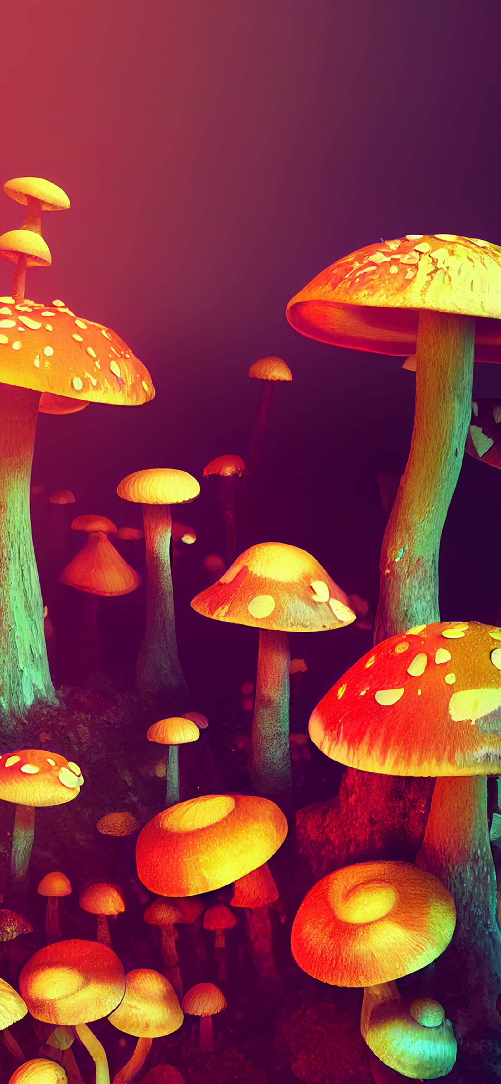 Psychedelic Mushroom Garden - Pro phone wallpaper