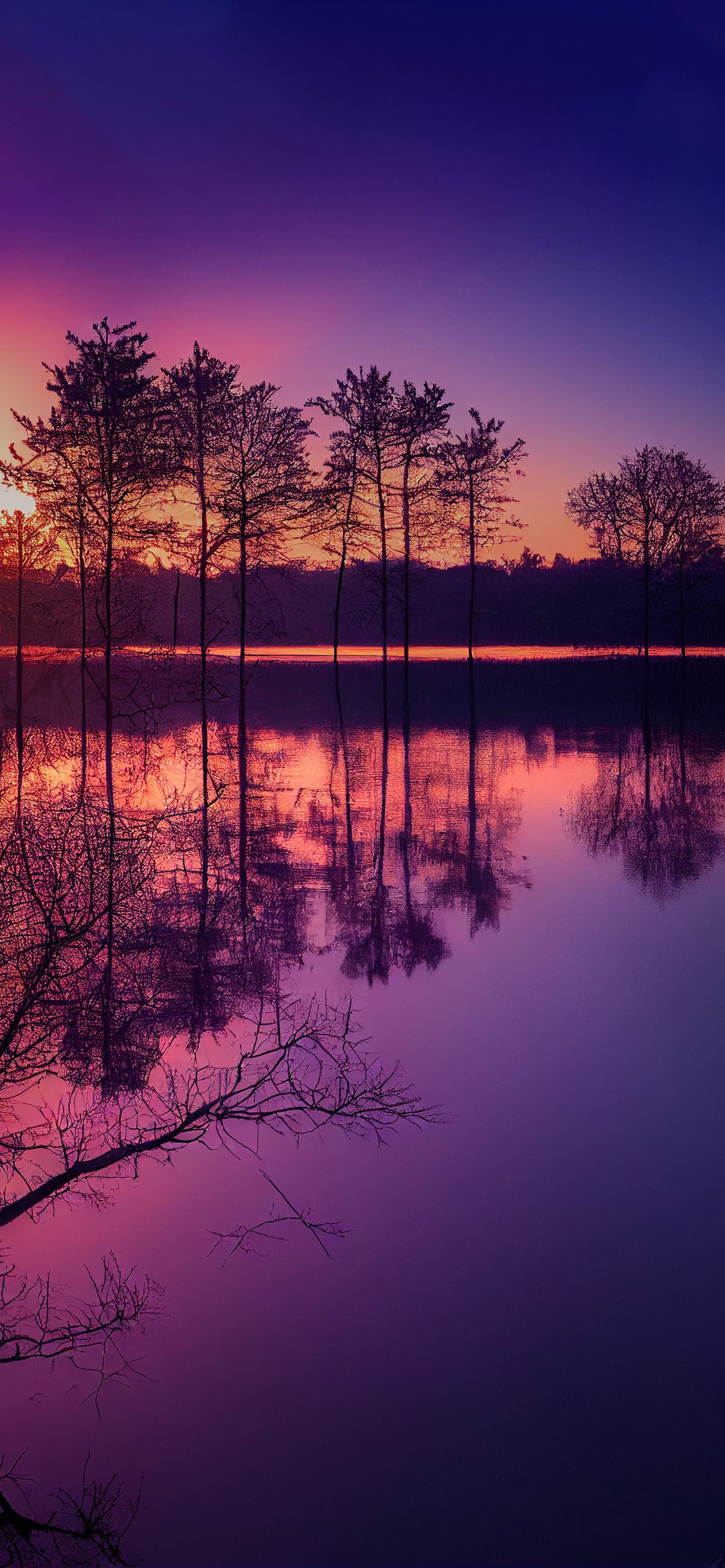 Silhouetted Lake Trees - Pro phone wallpaper