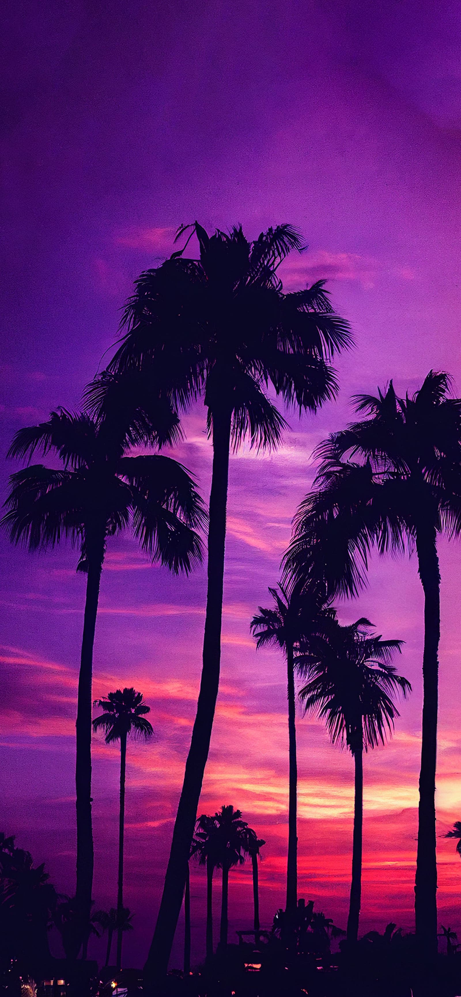 Purple Palm Sunset - Pro phone wallpaper