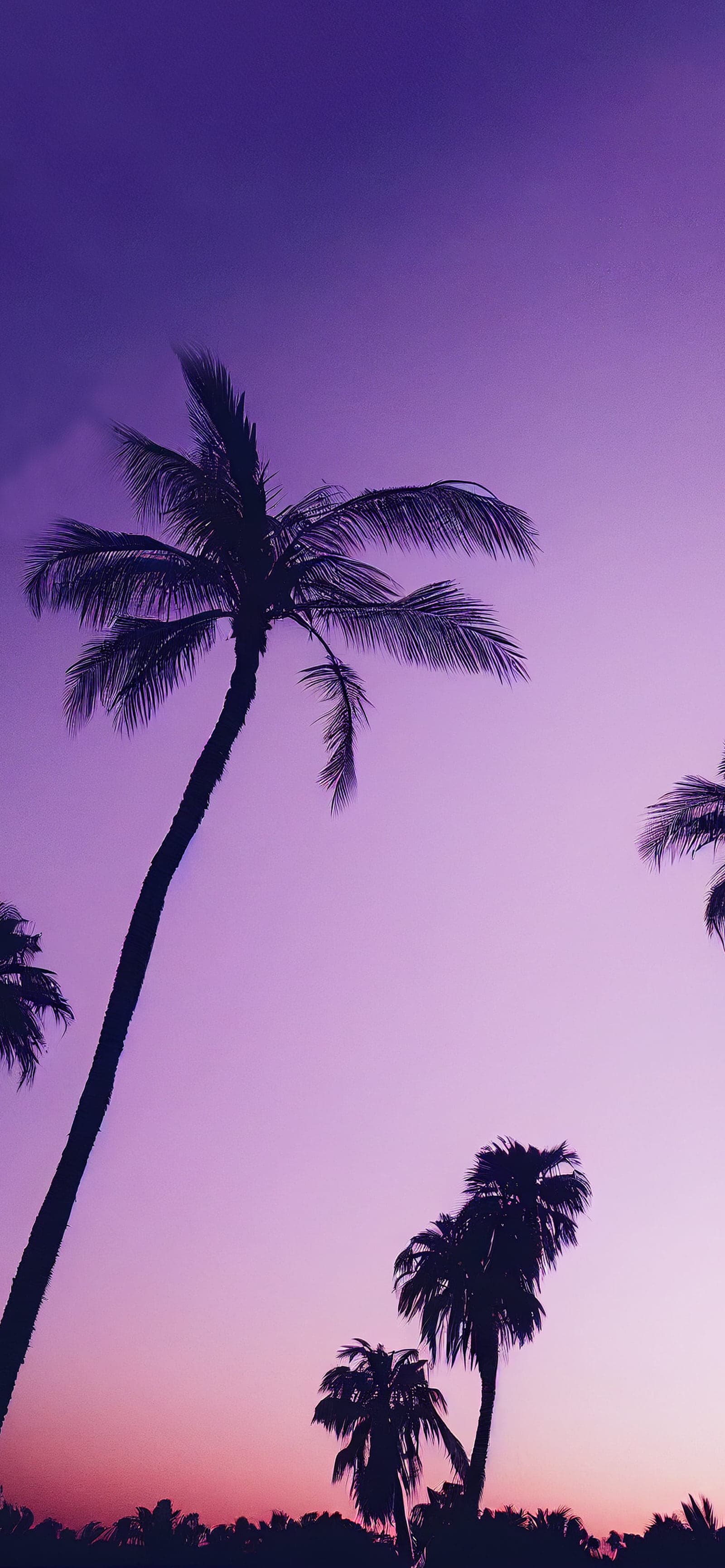 Pastel Palm Silhouette - Pro phone wallpaper