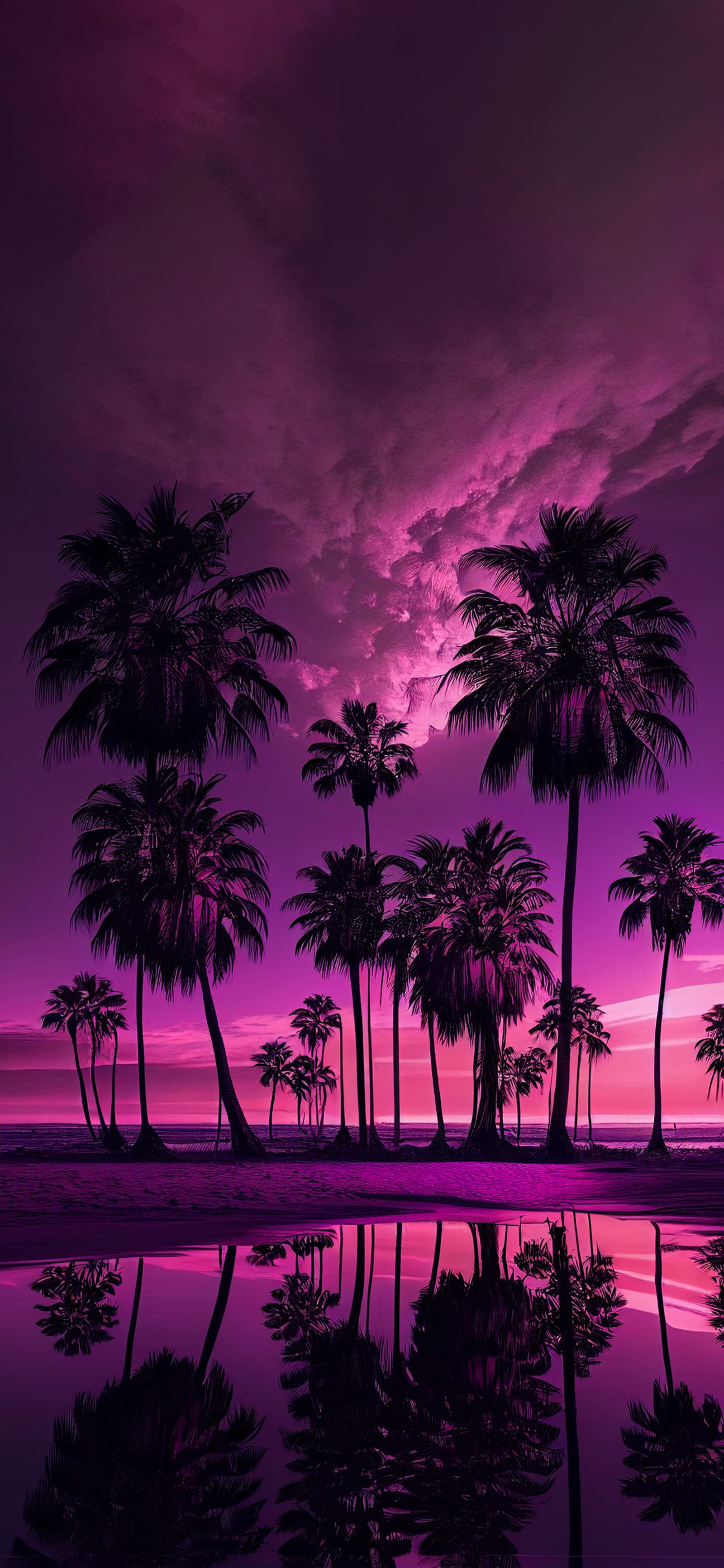 Purple Palm Reflections - Pro phone wallpaper
