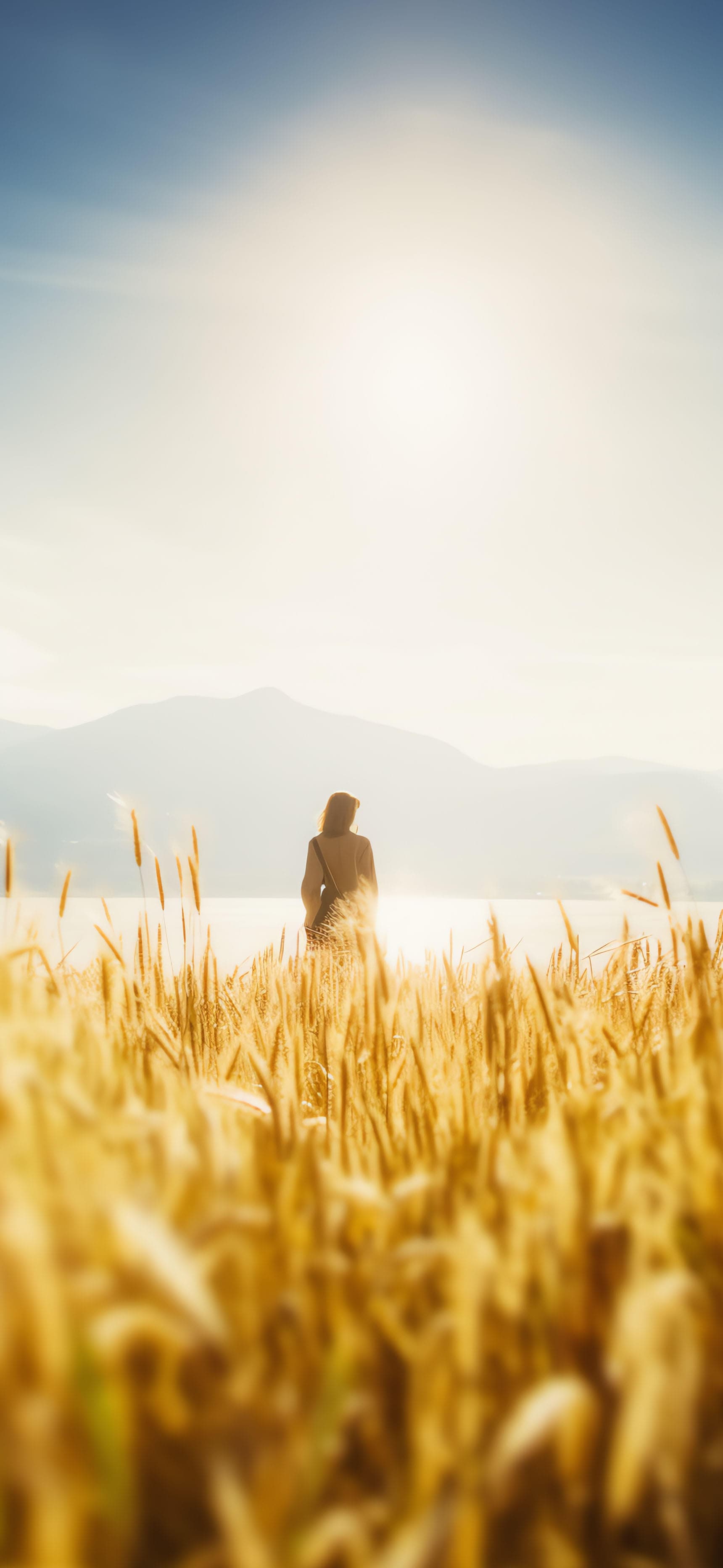 Wheat Field Gaze - Pro phone wallpaper
