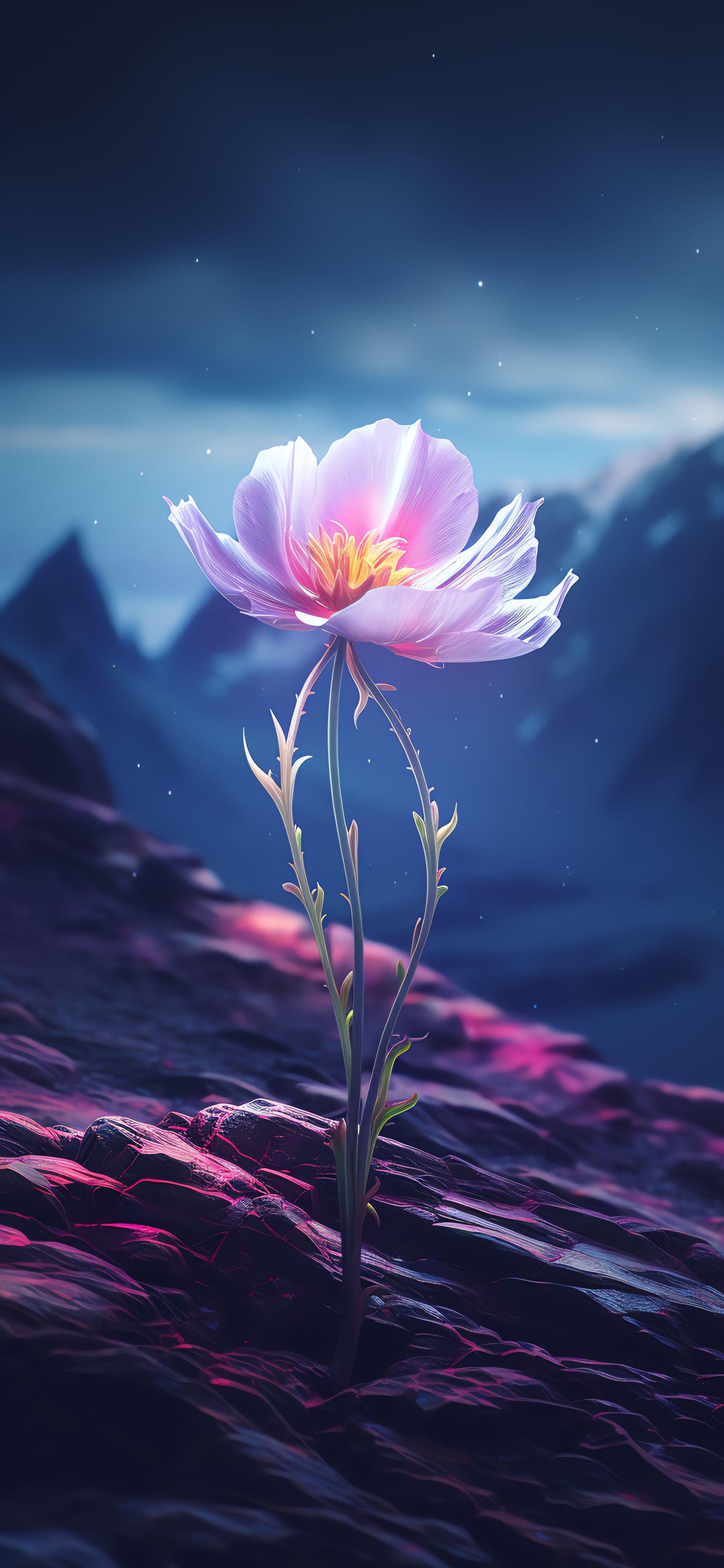 Mountain Flower - Pro phone wallpaper