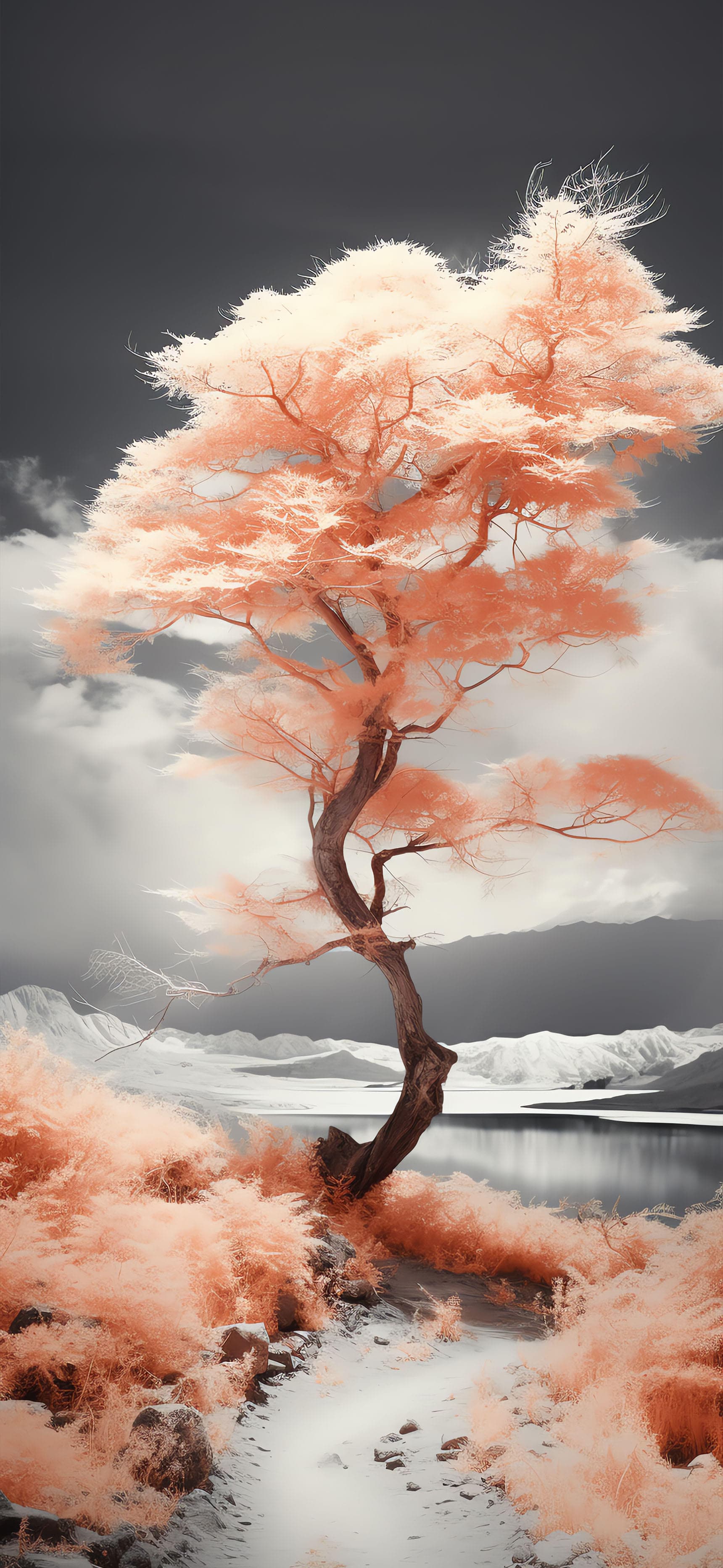 Infrared Winter Tree - Pro phone wallpaper