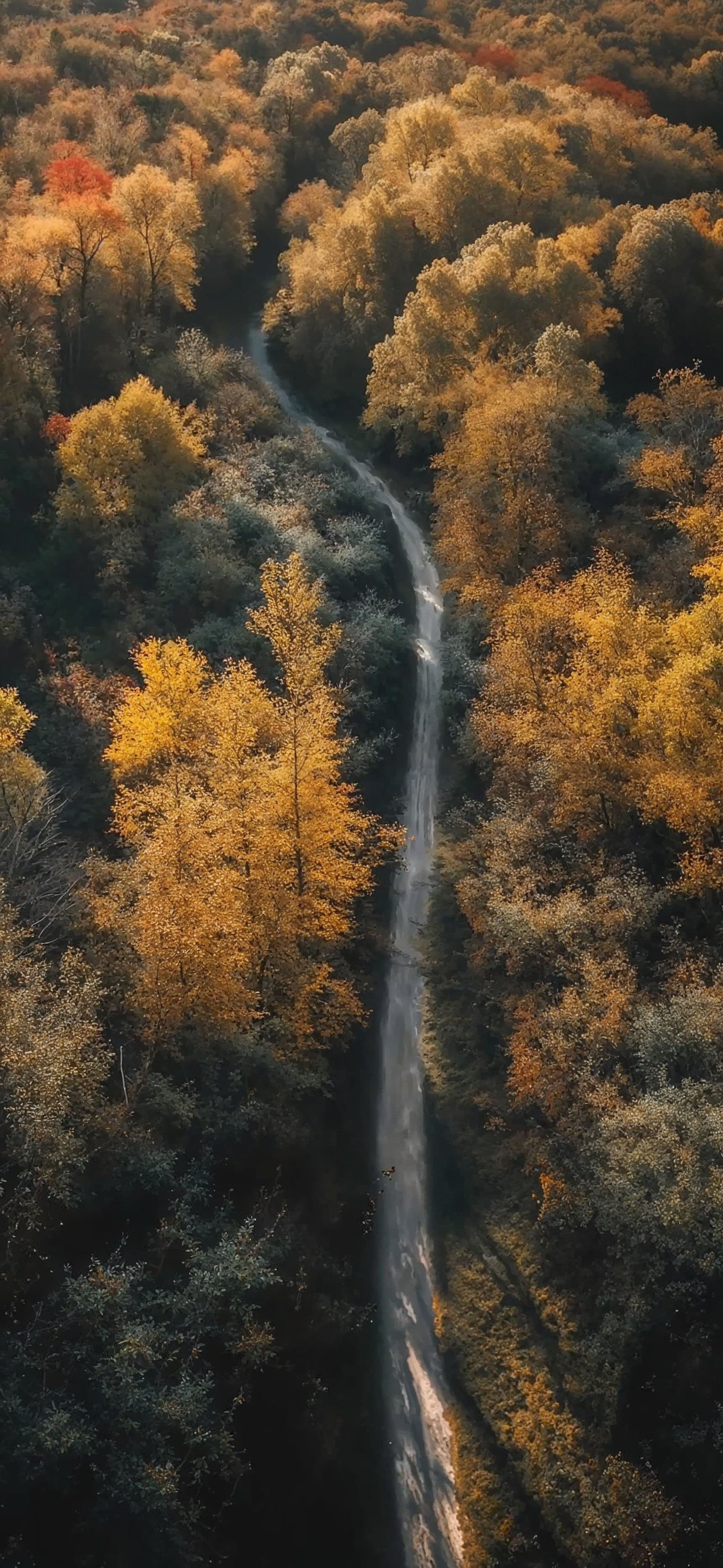 Autumn Road Aerial - Pro phone wallpaper