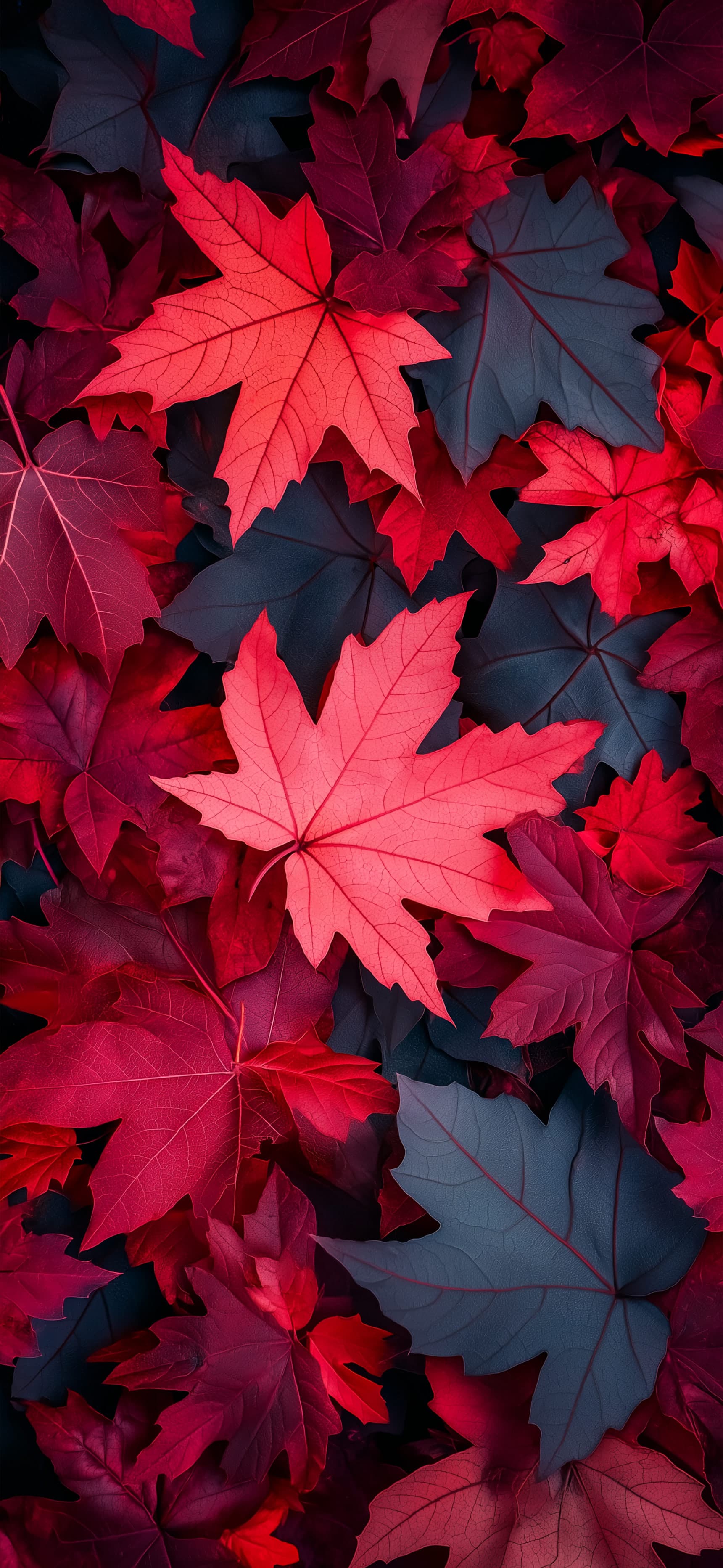 Scarlet Nightfall - Pro phone wallpaper